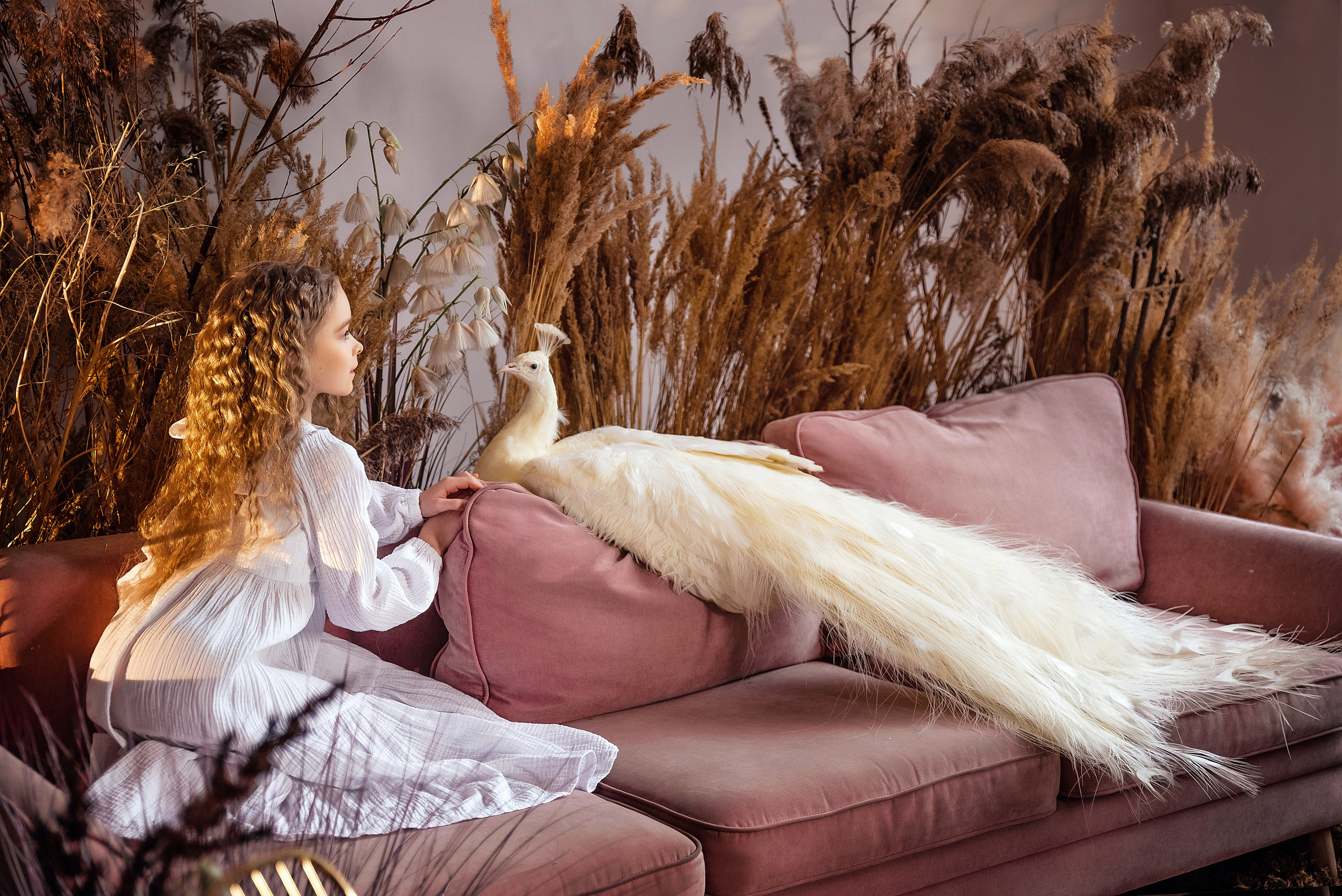 Павлин. Фотограф в Москве Lidiya_Li_Photo