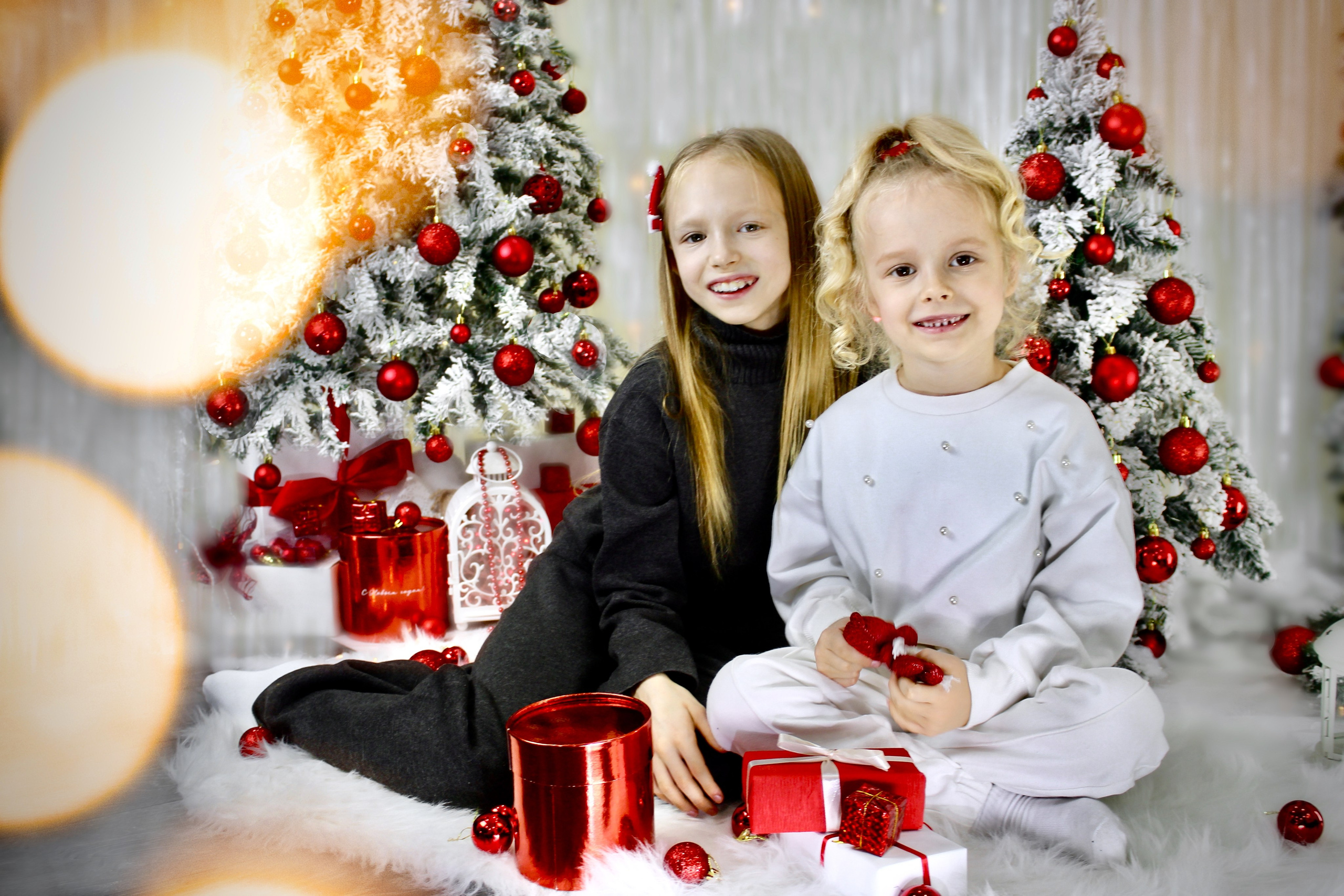 Скоро Новый Год. Портфолио