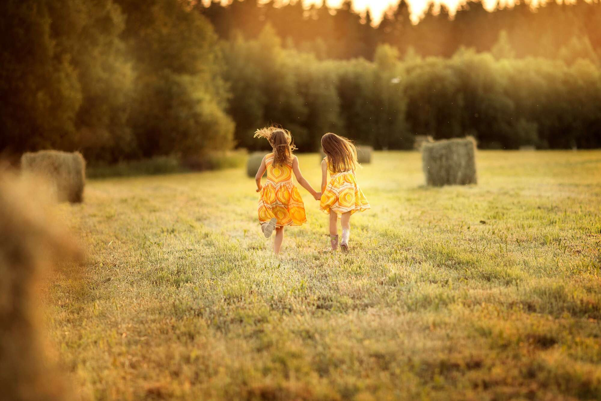 Летние дни. Фотограф СПб Юлия Ерошевская, предметный фотограф