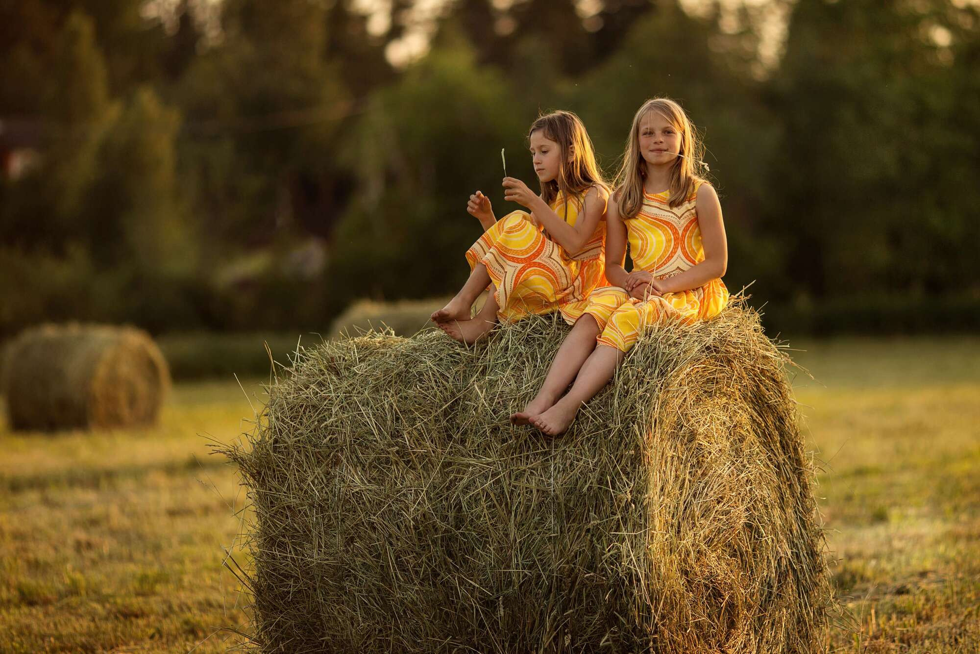 Летние дни. Фотограф СПб Юлия Ерошевская, предметный фотограф