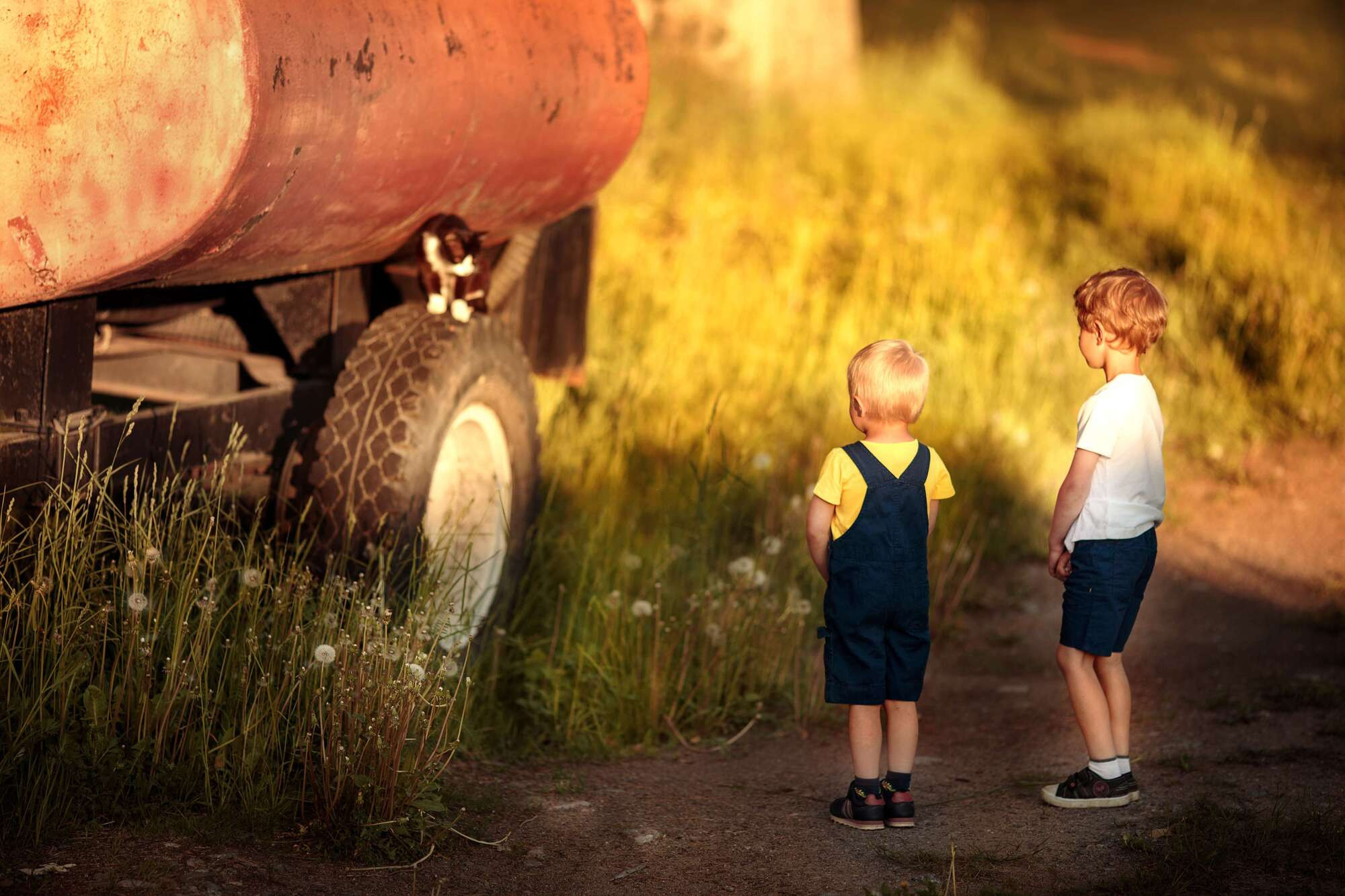 Банда. Фотограф СПб Юлия Ерошевская, предметный фотограф
