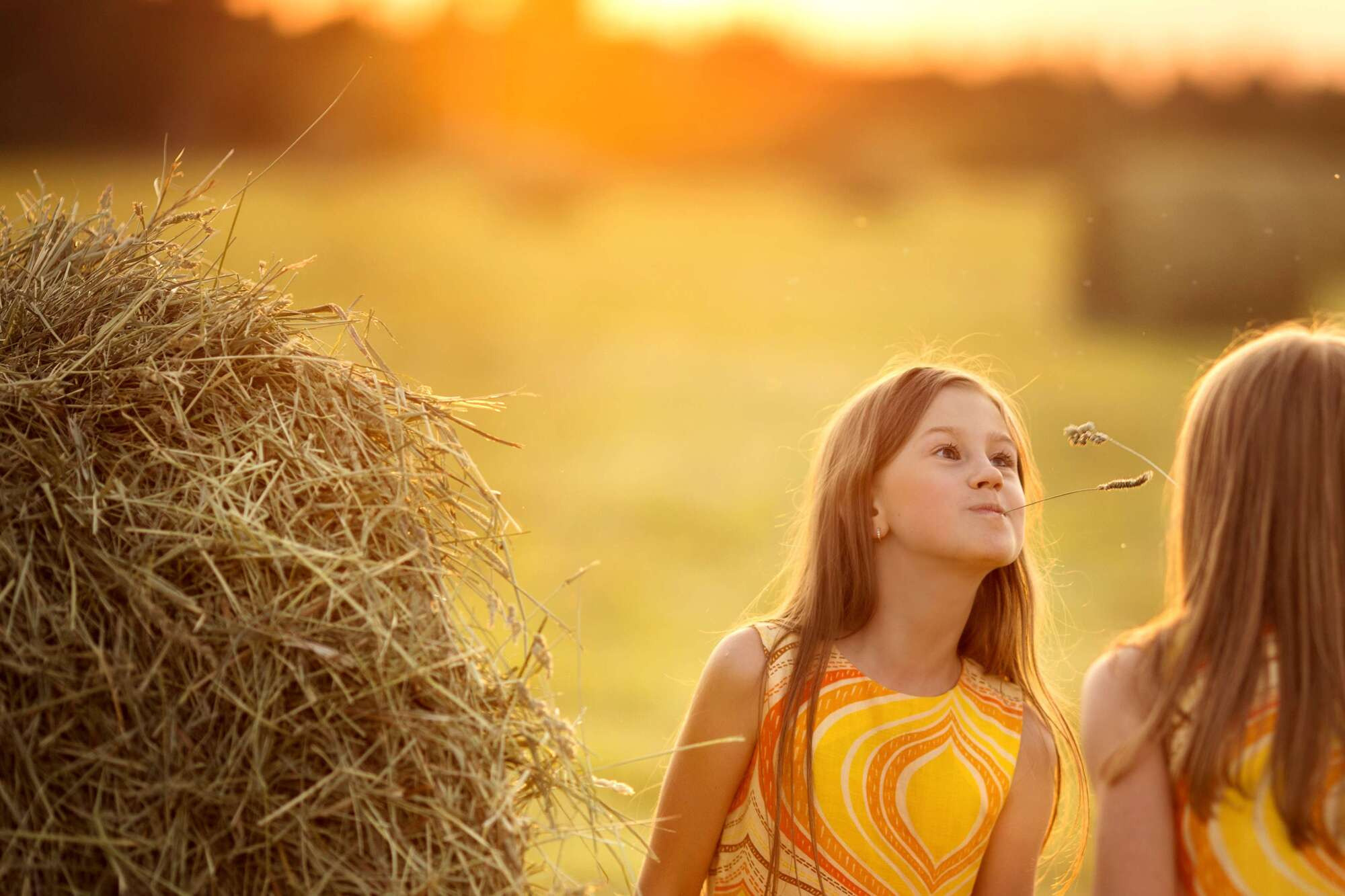 Летние дни. Фотограф СПб Юлия Ерошевская, предметный фотограф