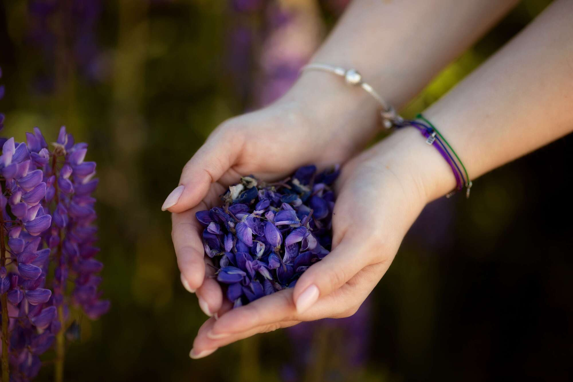 Ветер в волосах (съемка в люпинах). Фотограф СПб Юлия Ерошевская, предметный фотограф