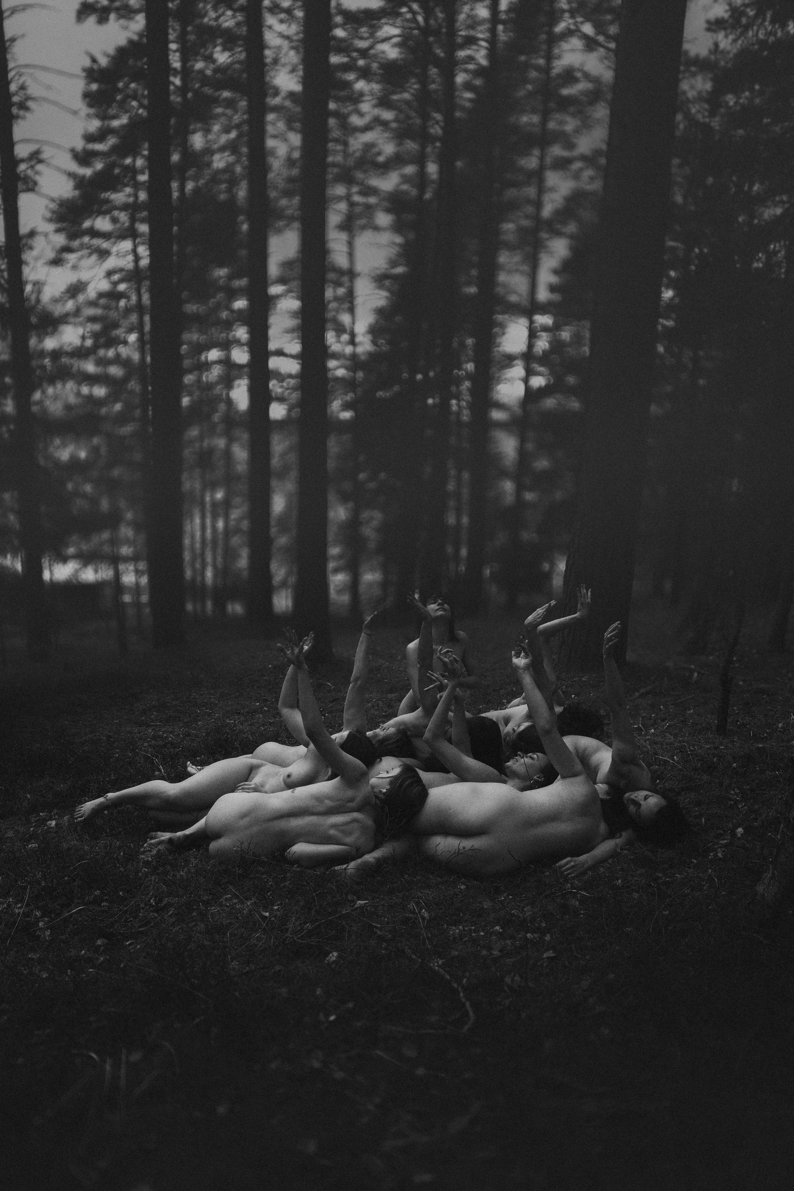 Дикие корни. Художественный фотограф СПБ, Дубай