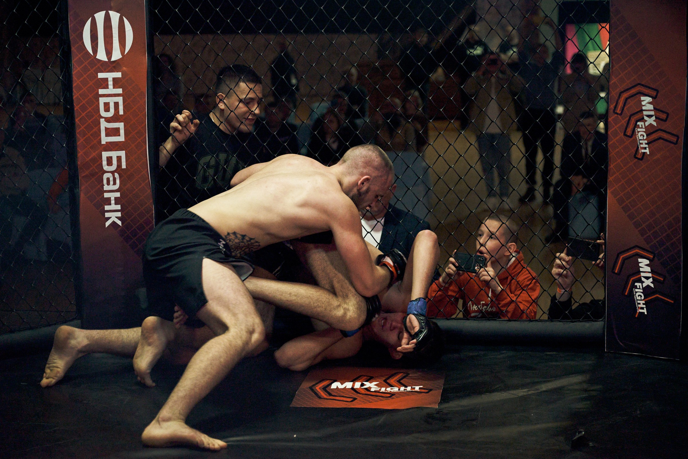 Бои. Маляревич Дмитрий свадебный фотограф