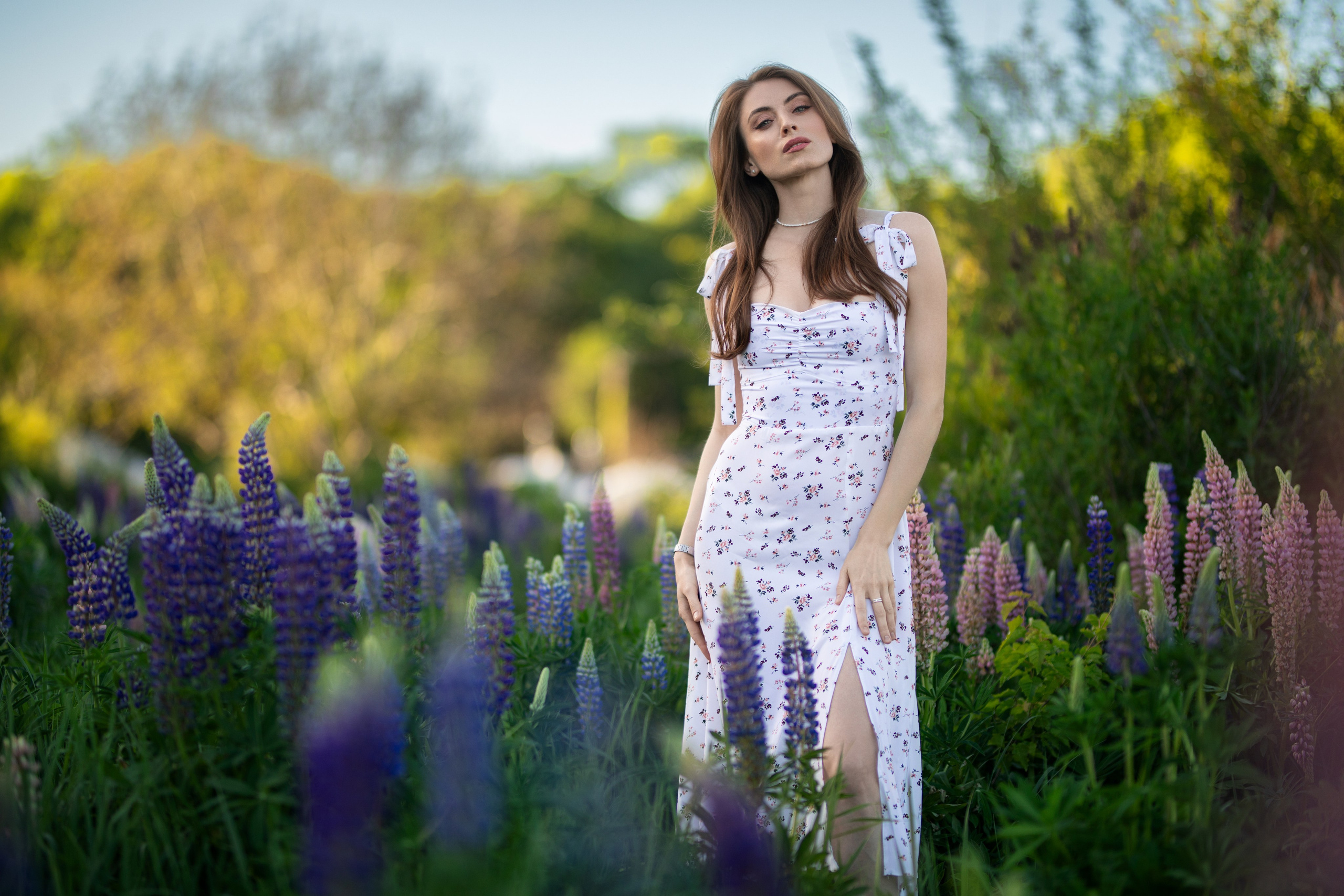 Фотосессия с Надеждой с люпинами в формате «для себя». Дмитрий Шульгин, портретный фотограф в Воронеже
