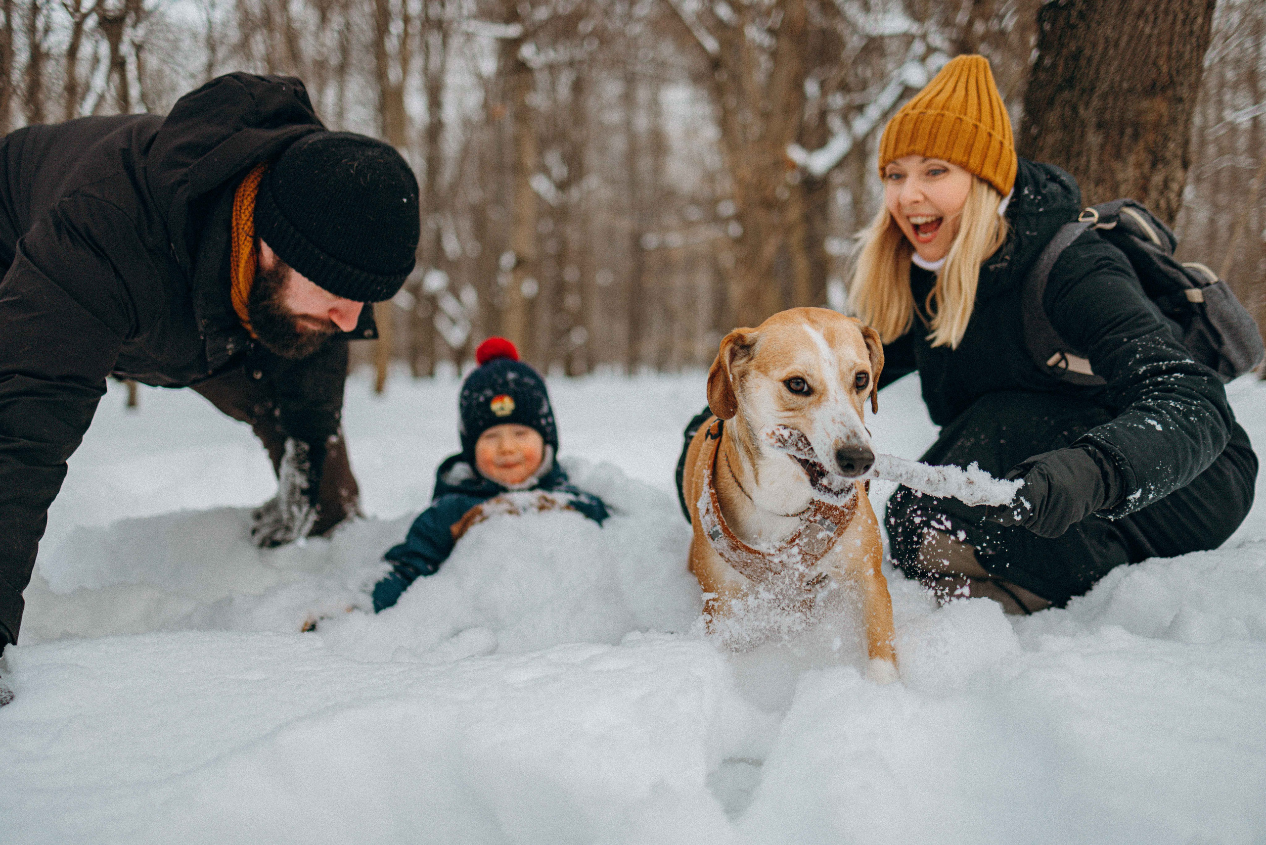 Свобода и ее семья. Фотограф-анималист в Москве Лера Черноног