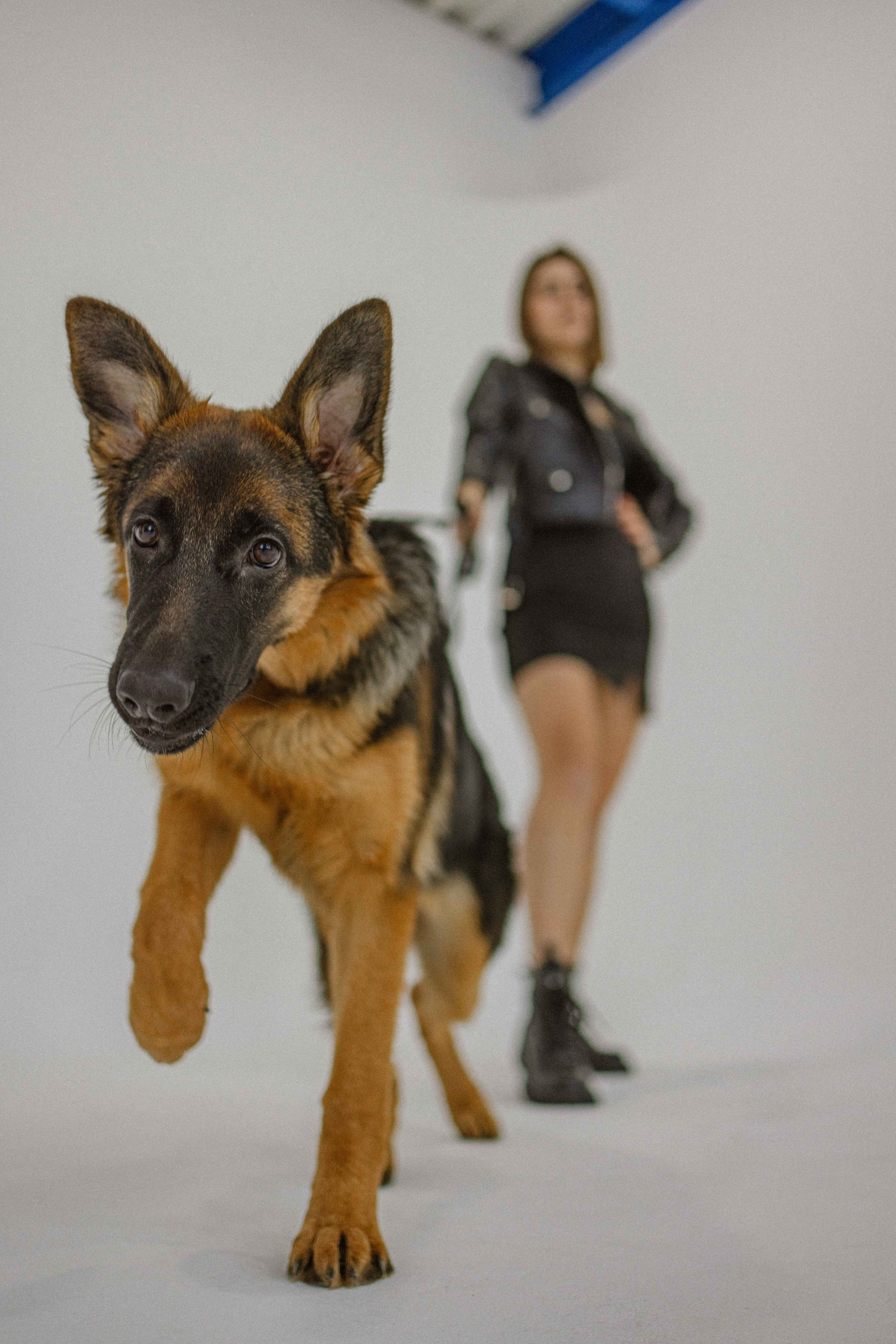 Ася и Буся. Фотограф-анималист в Москве Лера Черноног