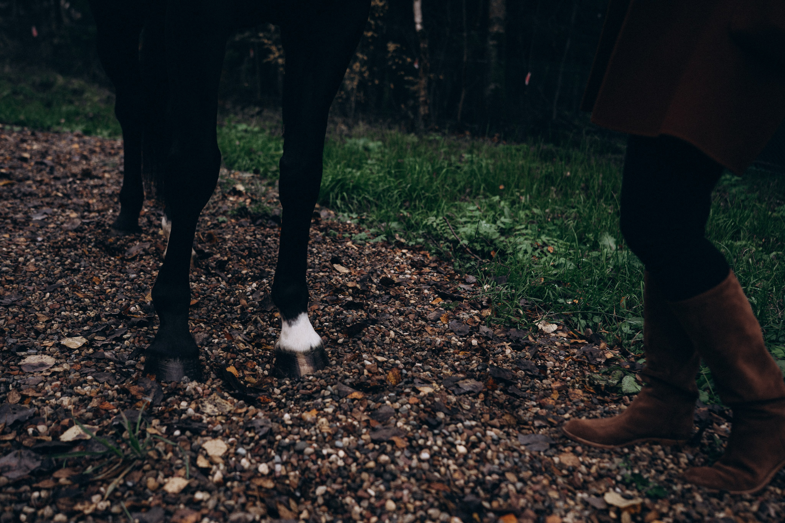 Фотосессия с лошадьми. Фотограф Новорожденных в Москве. Семейные истории в стиле LIFE