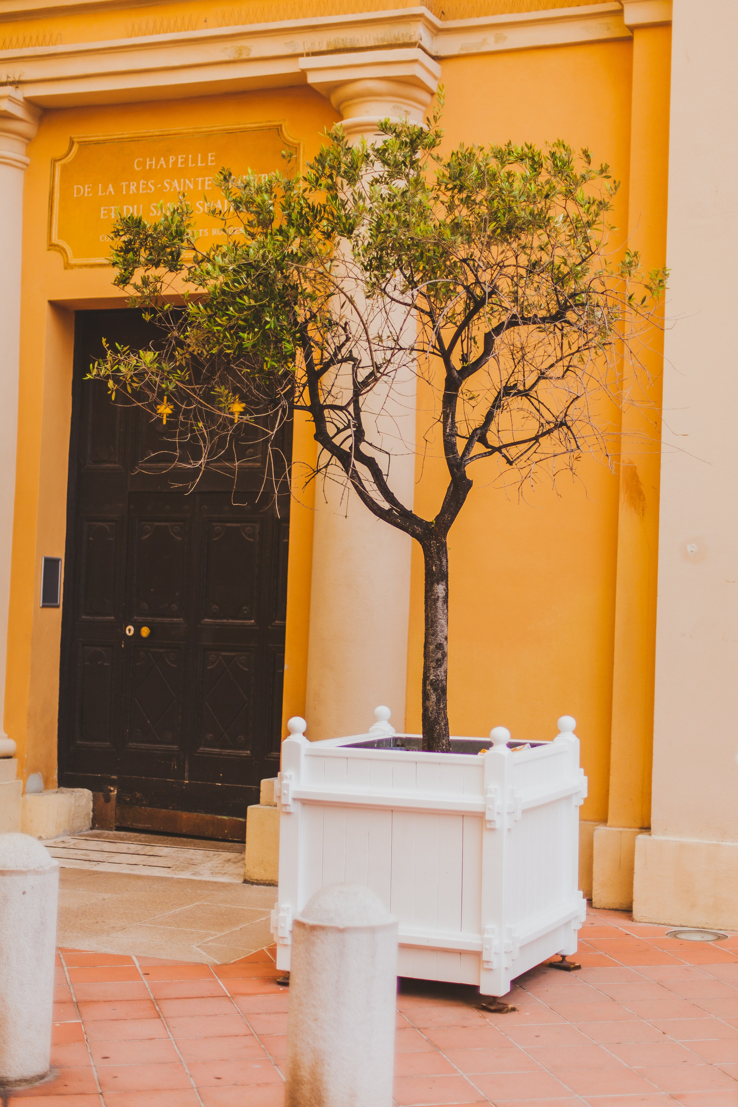 Ницца. Аня Степанова