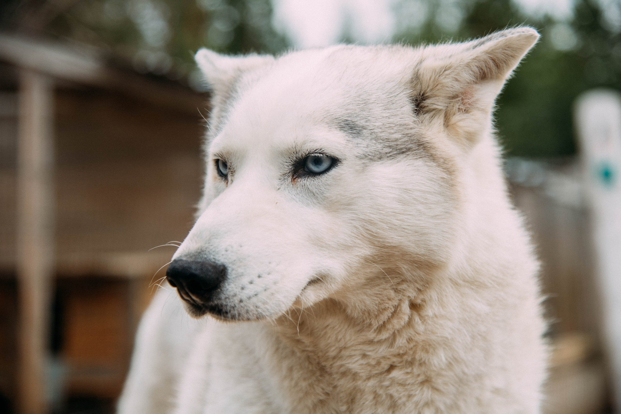 Кольский полуостров. Фотографирую для себя, своей семьи и друзей!