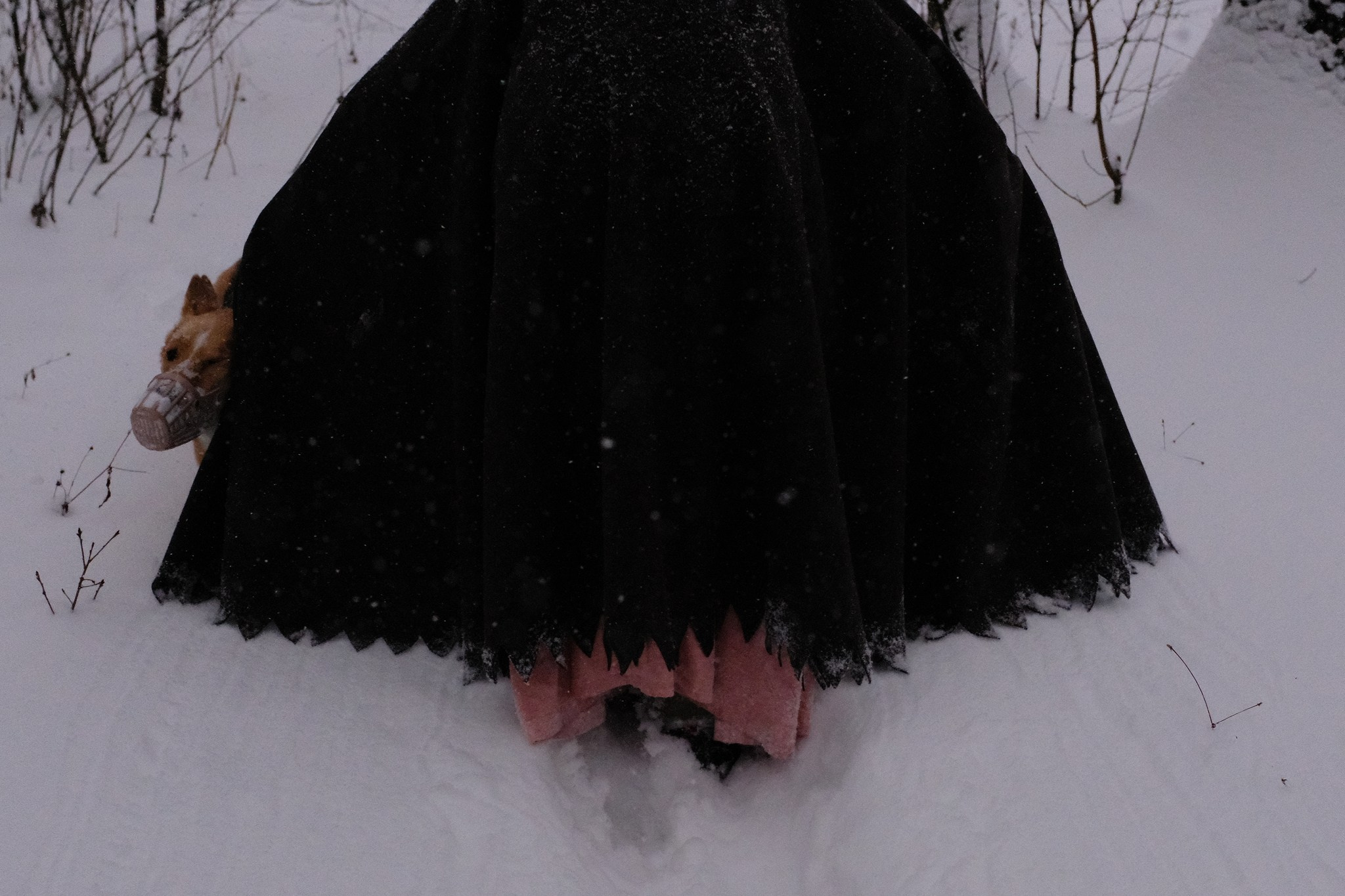 Герда, Лиса и их люди. Дмитрий Бречалов