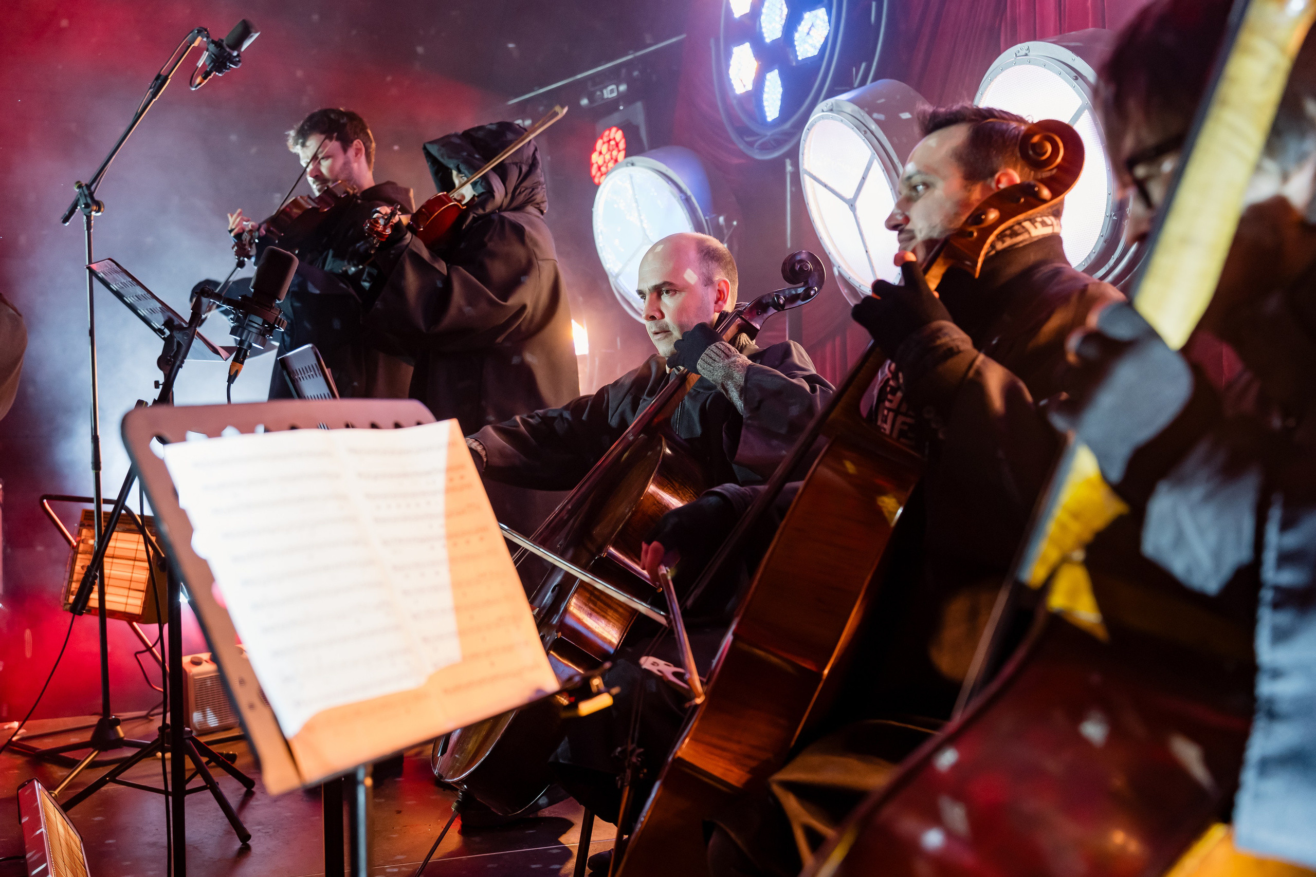 Ледяная симфония. Сад им. Баумана. 04.01.2025