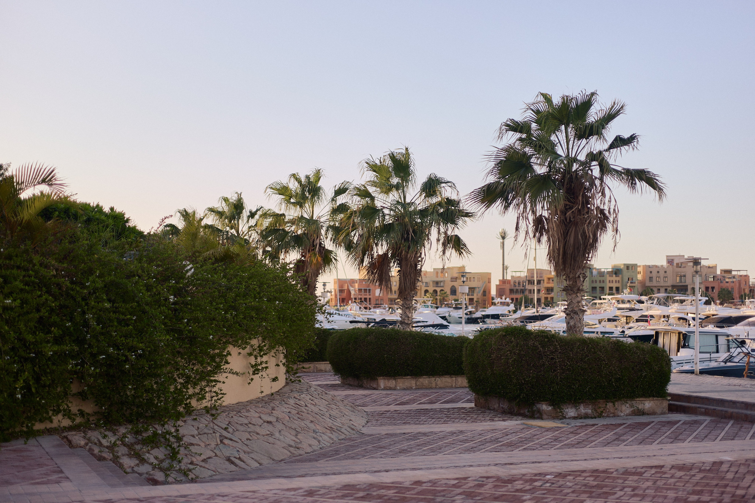 Другое 3. Jorgis Talè — photographer, kind person, teacher of arts and other mag