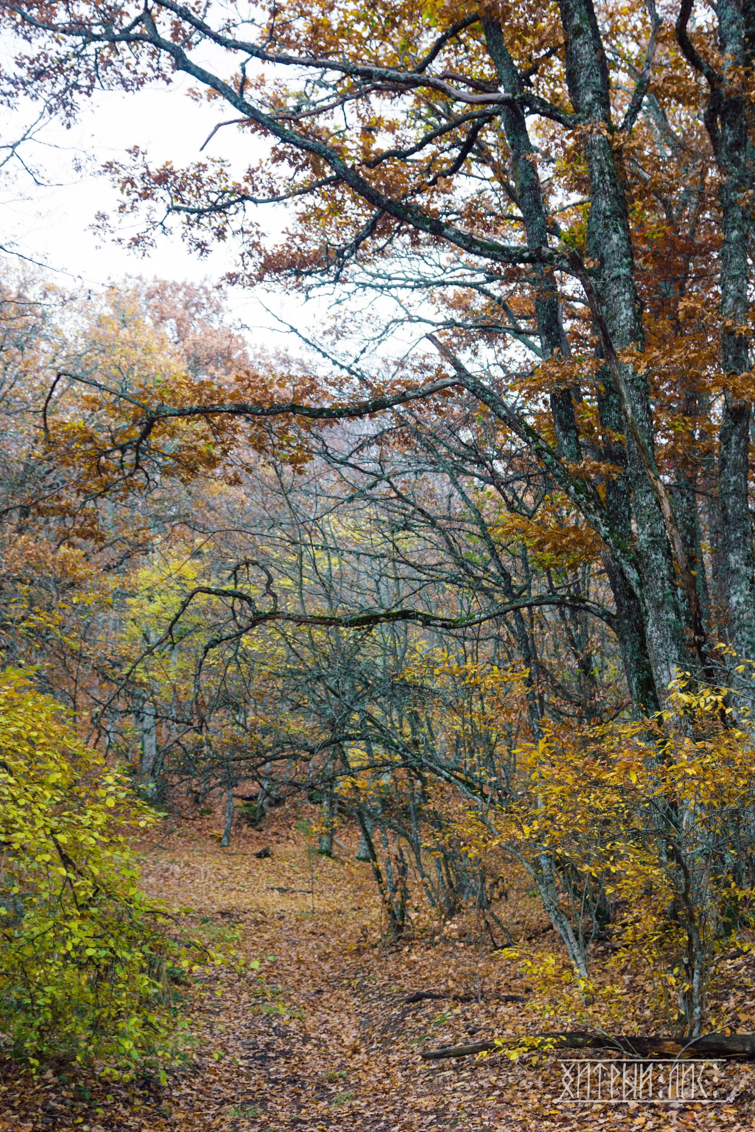Крым. Фотограф-путешественник Самойлов Максим «Sly Fox»