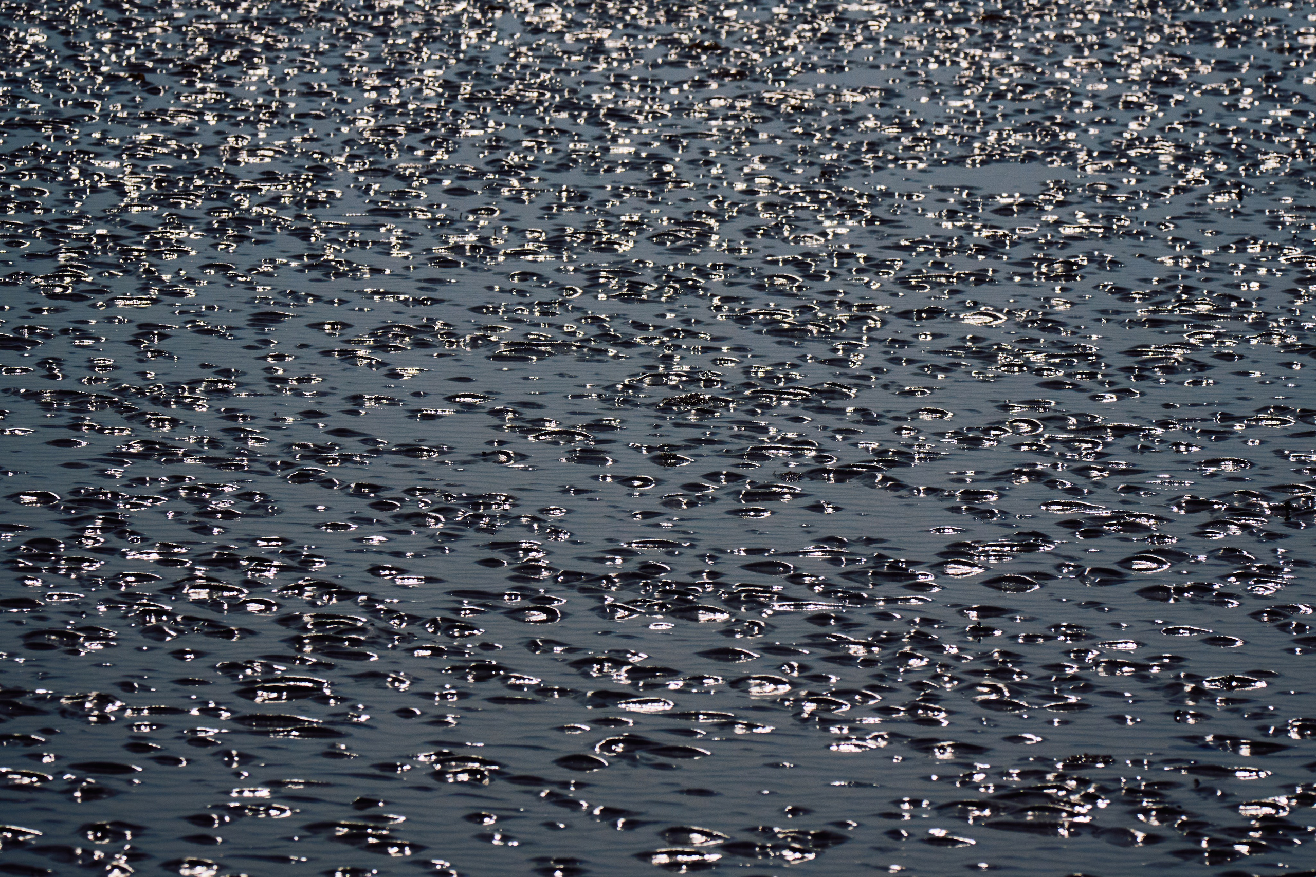 Archipelago Bissagos. See the moment and catche. commercial and reportage