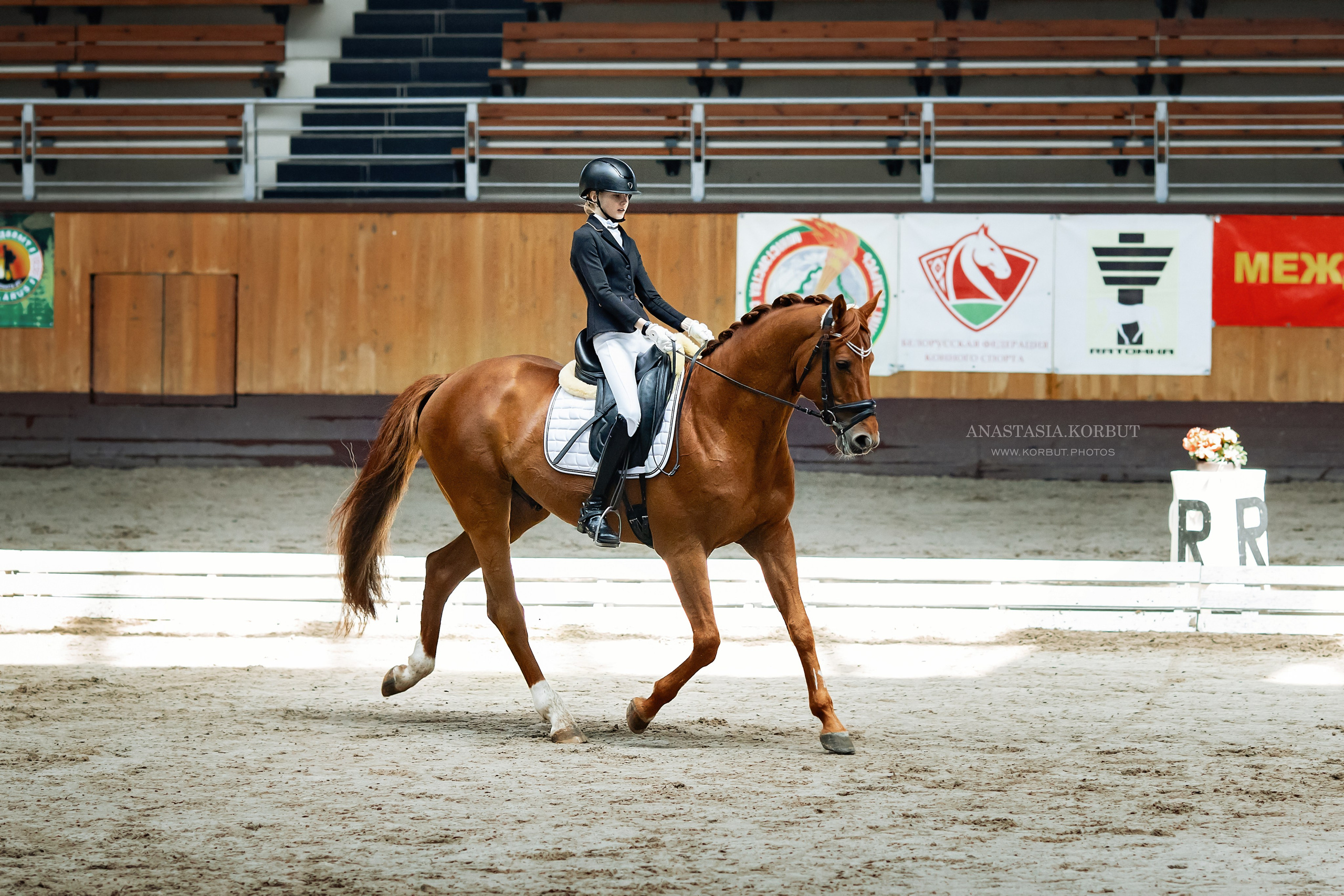 Кубок Евразии Апрель 2023. Арт фотограф в Минске Анастасия Корбут