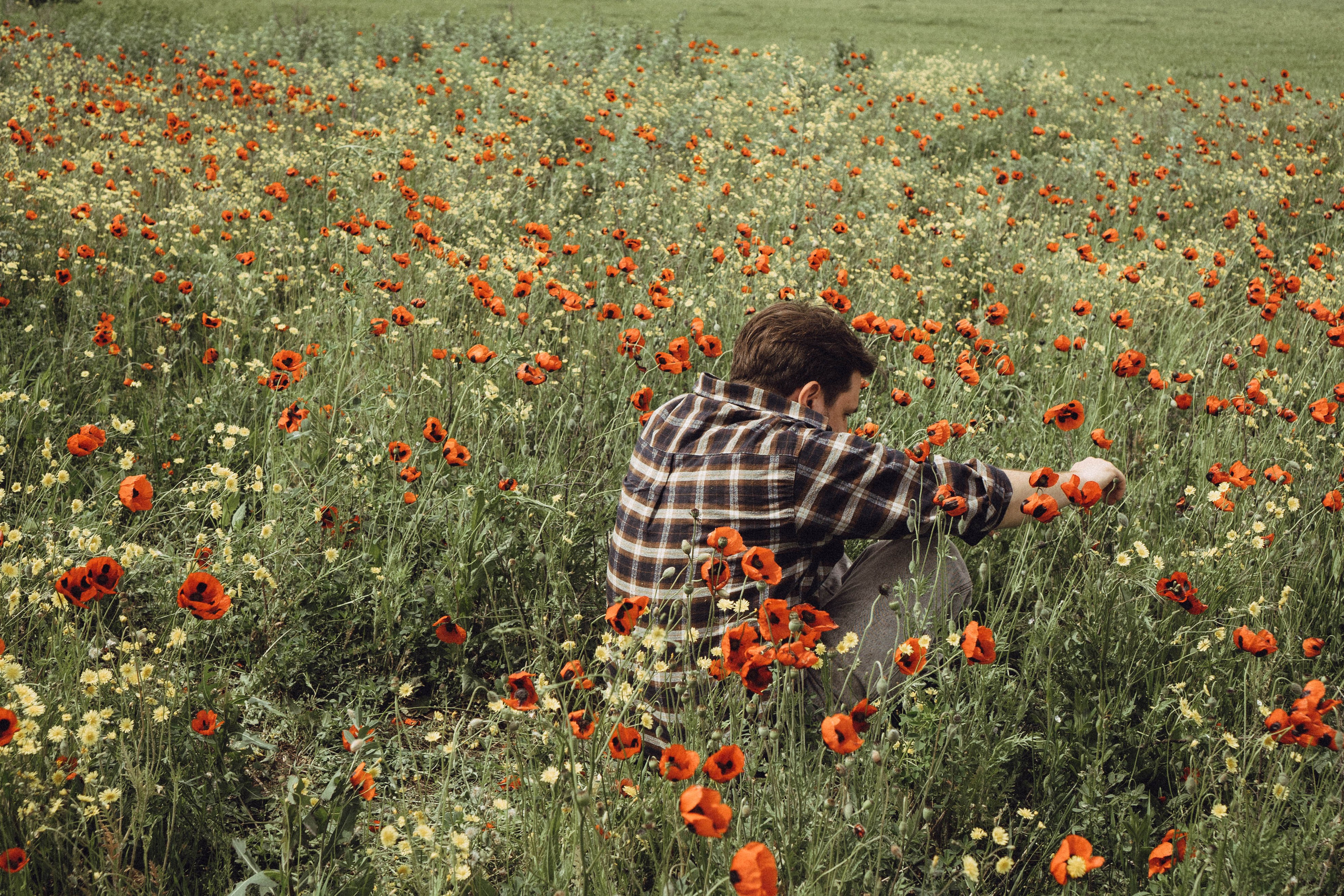 Маки. Профессиональный фотограф, Санкт-Петербург — Виктория Богомолова