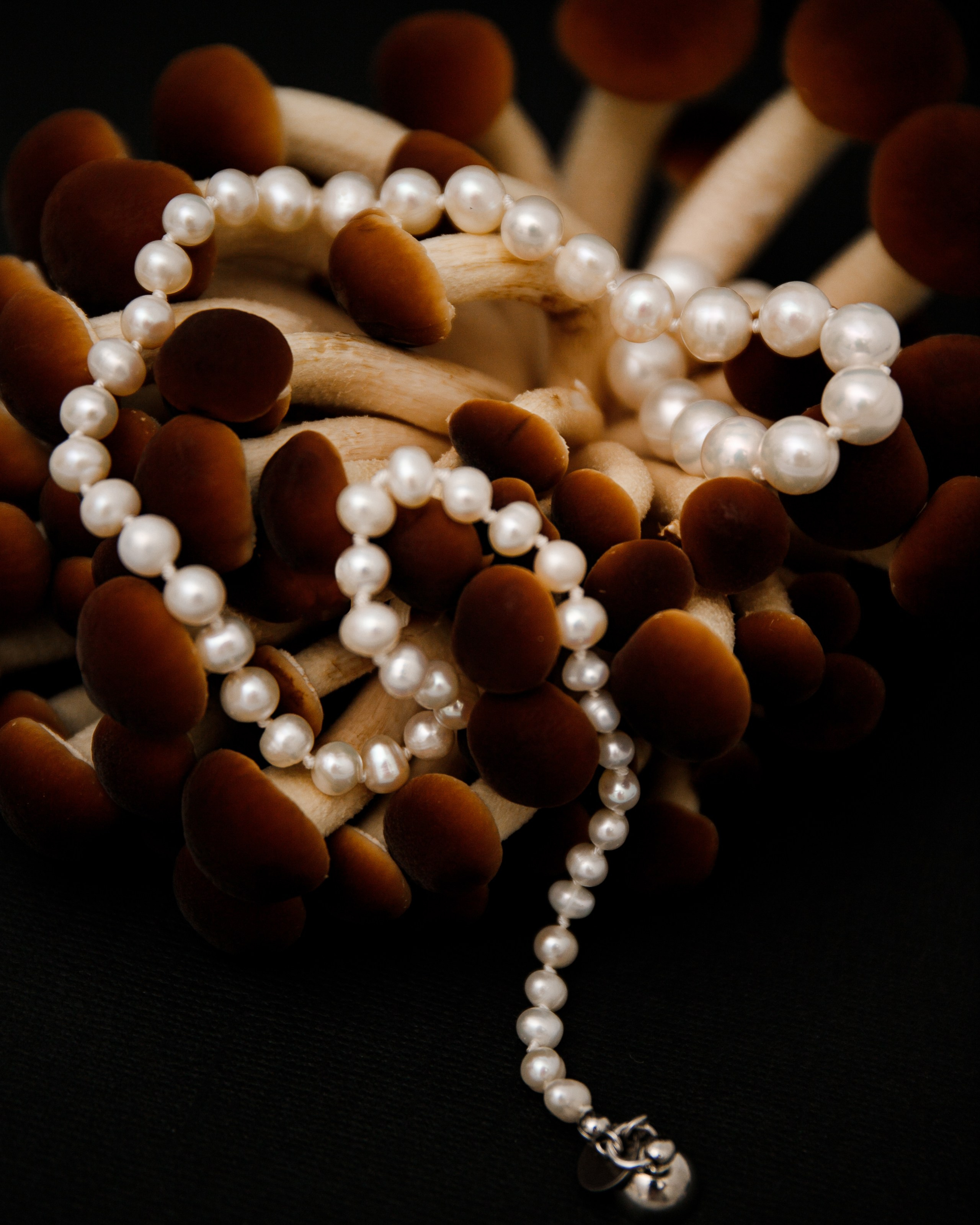 Antibride. Фотограф для брендов в Москве, noircreate