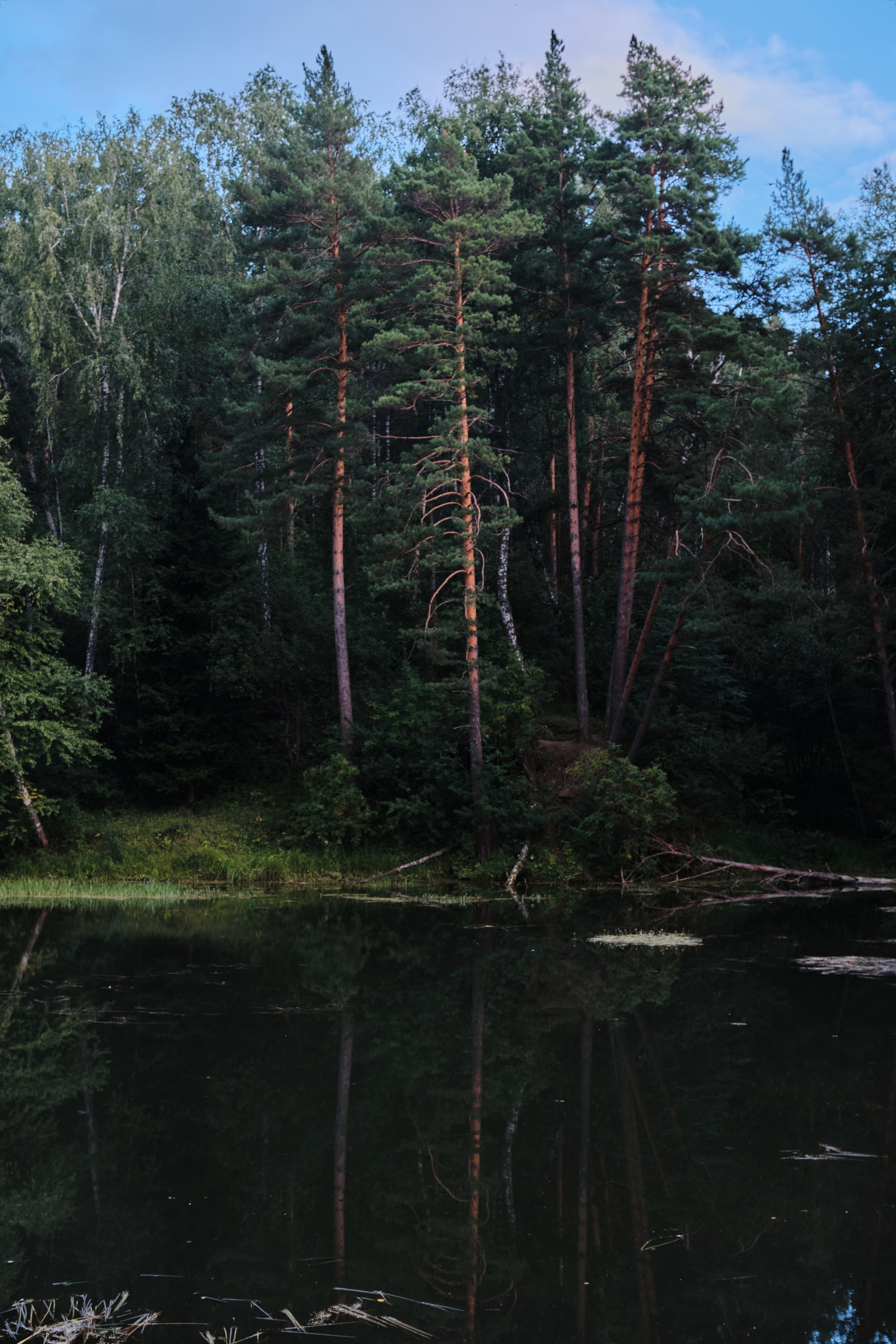 Академ-городок и ботанический сад. Goncharov Tim