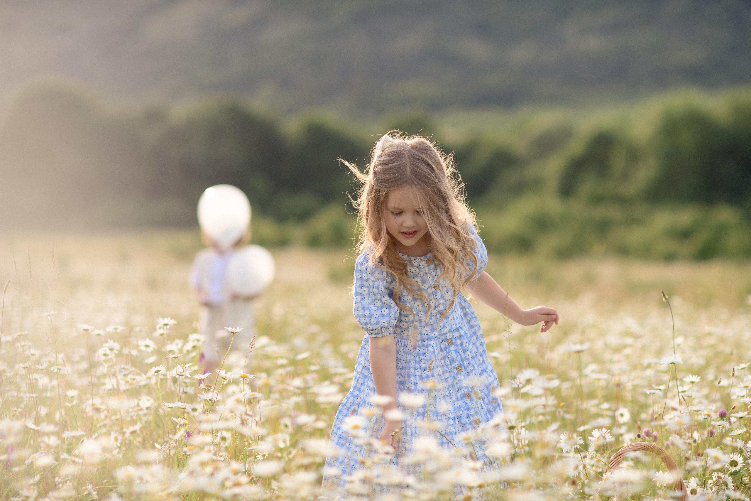 Ромашки. Фотограф Ирина Сахарчук Выпускные альбомы для детского сада и школы