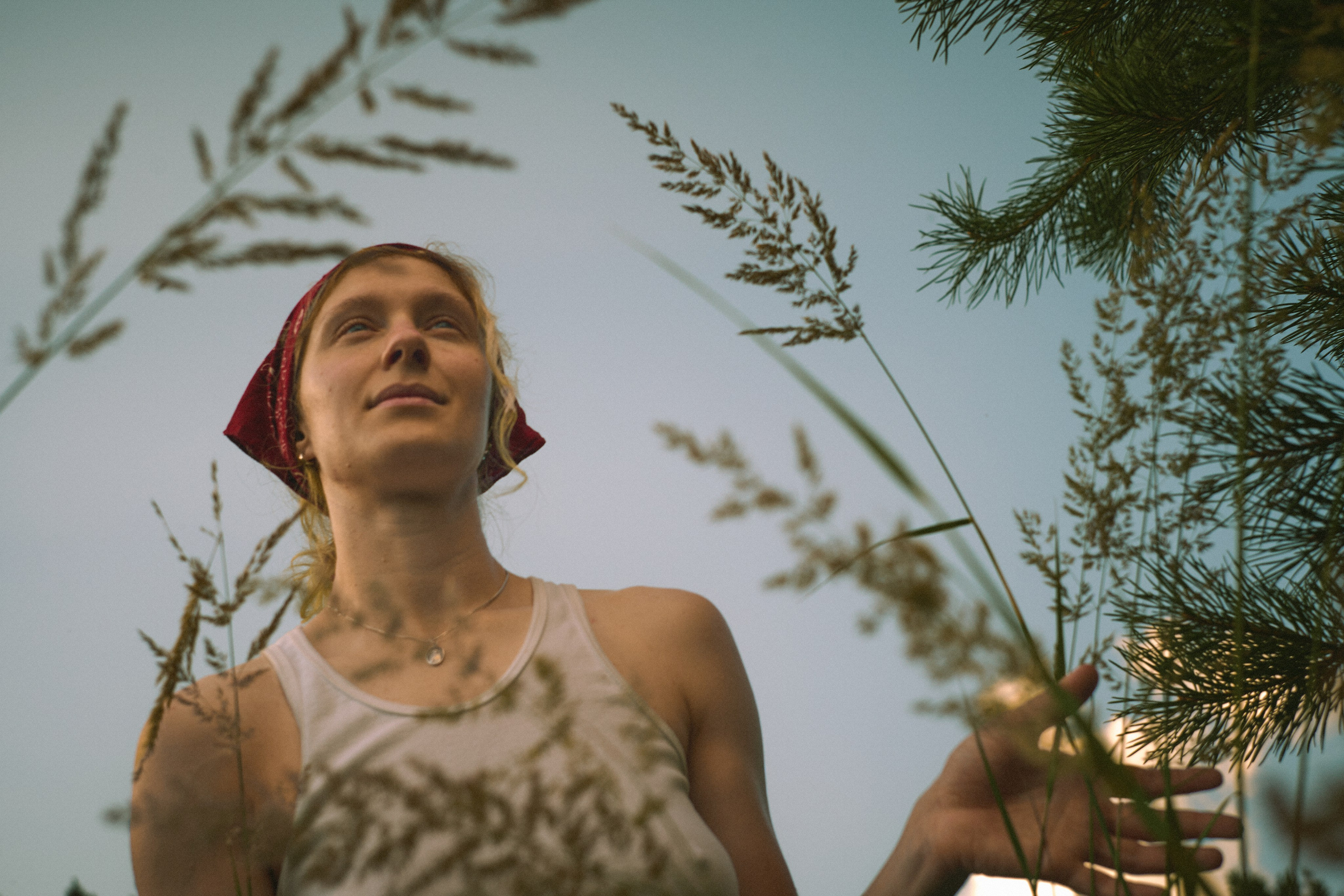 Summer field. Юля Ф