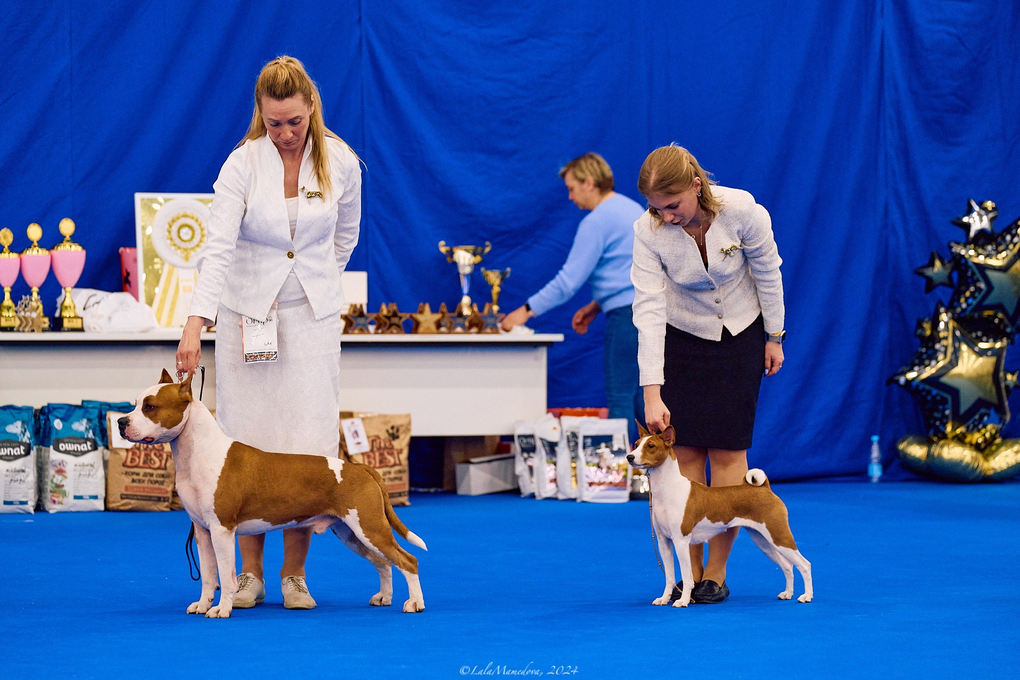 04.05.2024 | «ЗВЕЗДНЫЙ МАРАФОН»