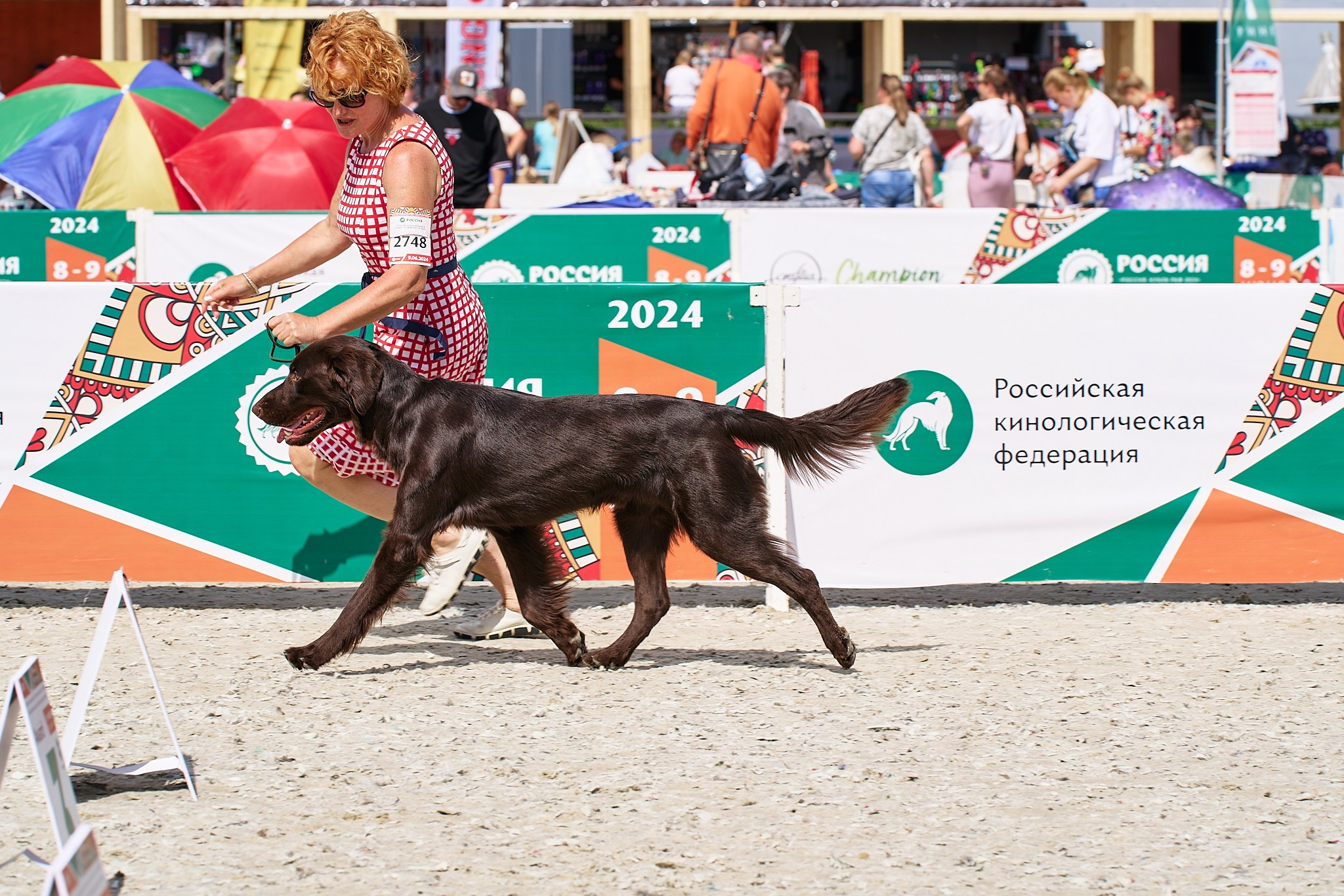 09.06.2024, «РОССИЯ. КУБОК МОСКВЫ 2024 & КУБОК ГОРОДОВ-ГЕРОЕВ»