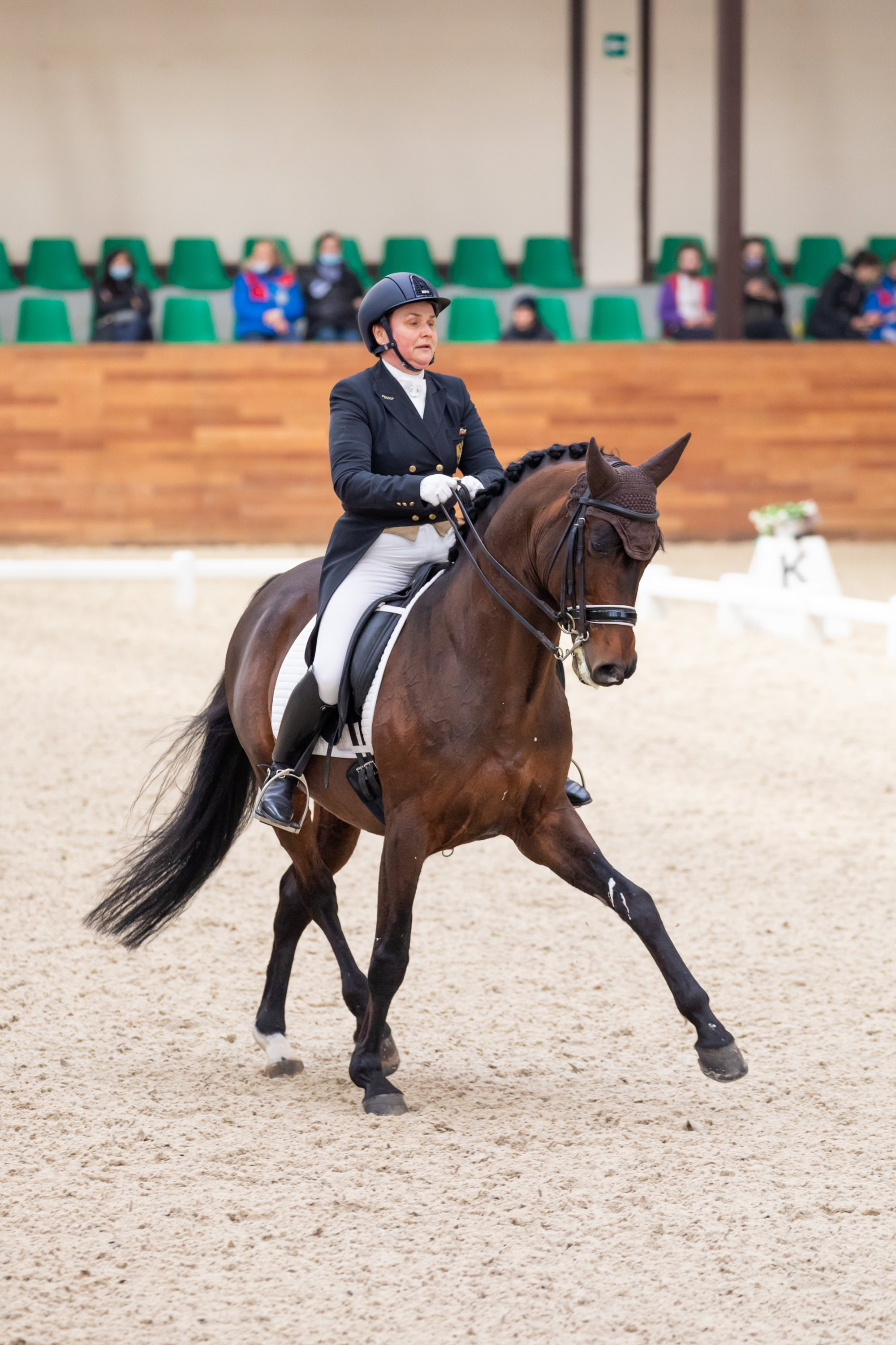 Выездка. Mrs.Aquarelia Конный фотограф Марианна Леонтьева