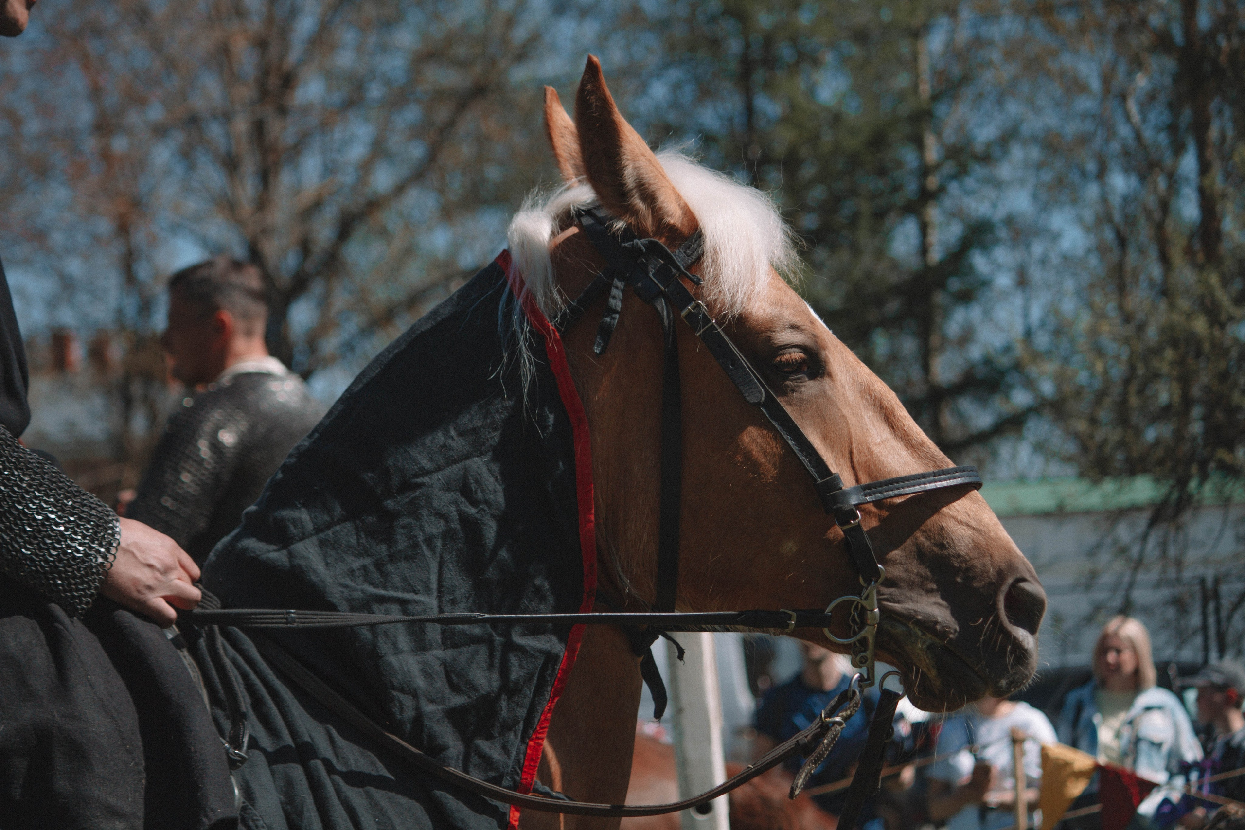 СТАРАЯ ЛАДОГА — Историко-культурный фестиваль. Создадим шедевр? Виталина и её фотоискусство