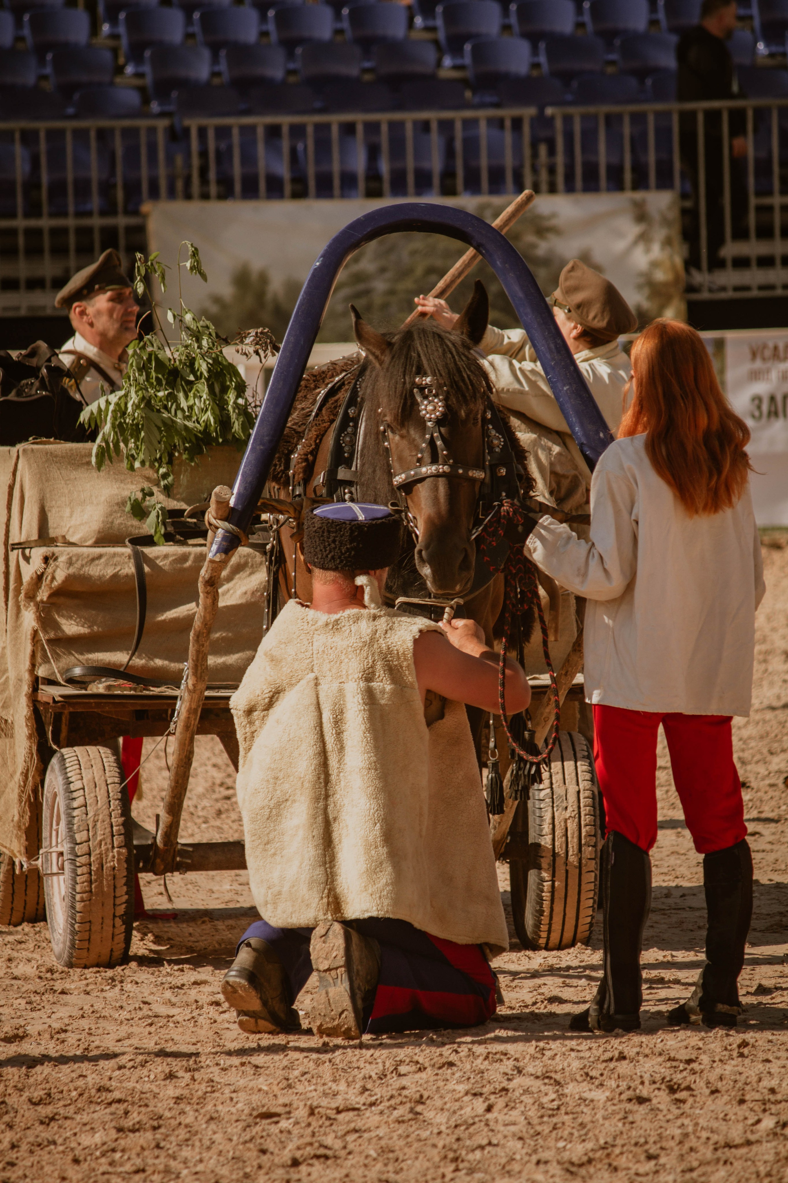ИППОСФЕРА — Международная конная выставка. Создадим шедевр? Виталина и её фотоискусство