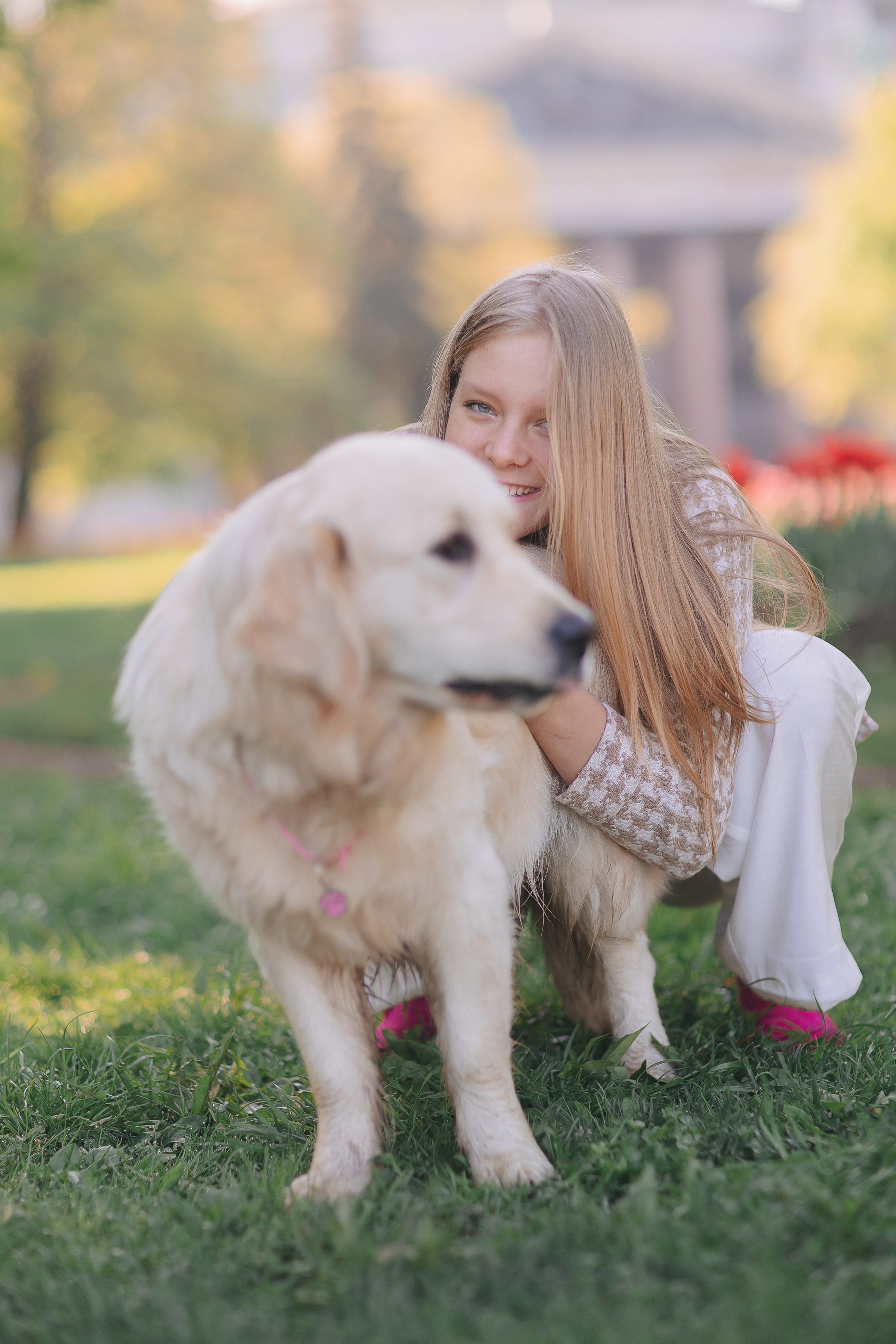 Золотистый ретривер Мона, Питер. Свадебный и женский фотограф
