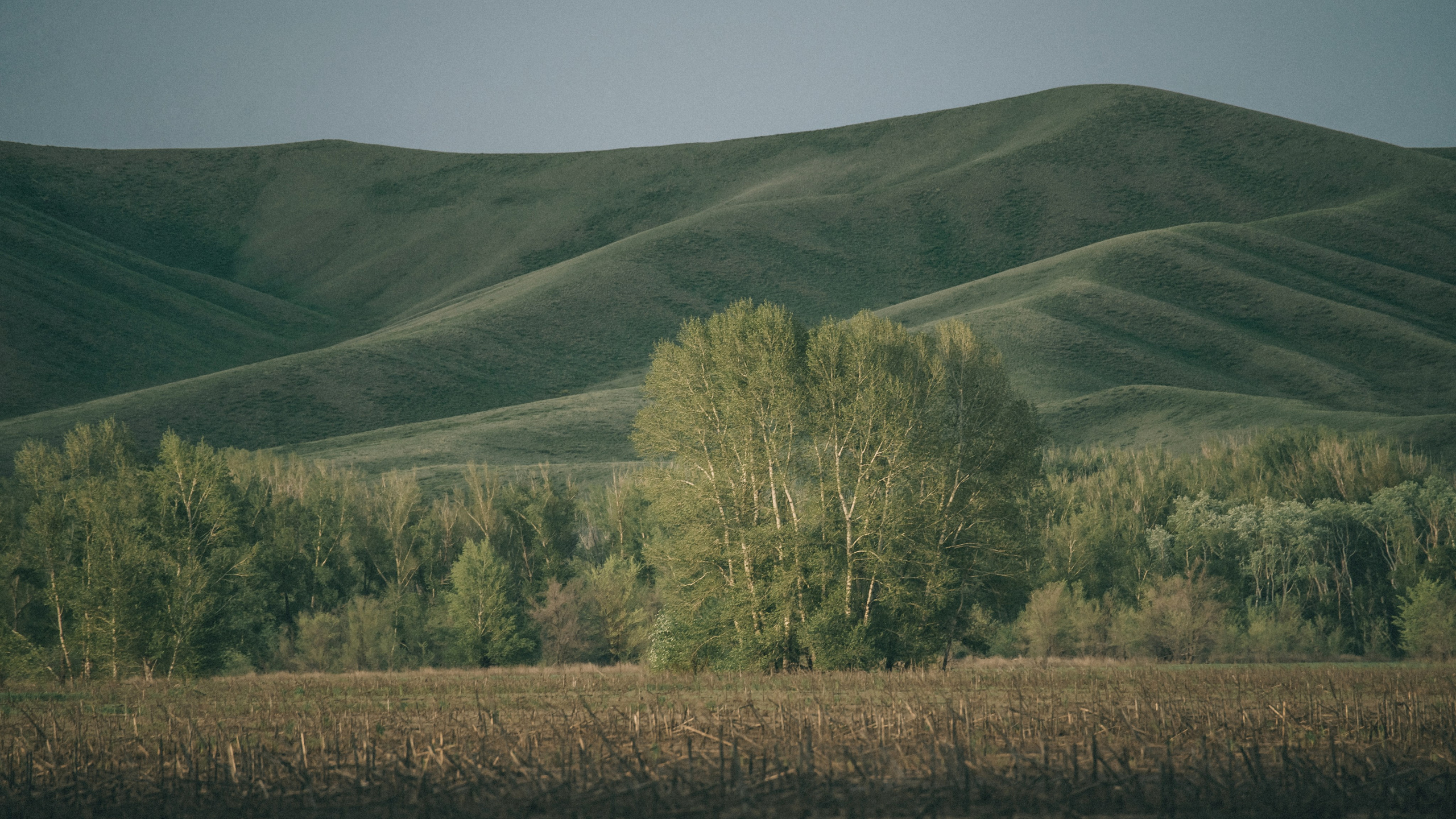 Заповедник «Оренбургский», предуральская степь. Фотообъединение Самарского областного отделения Союза журналистов России