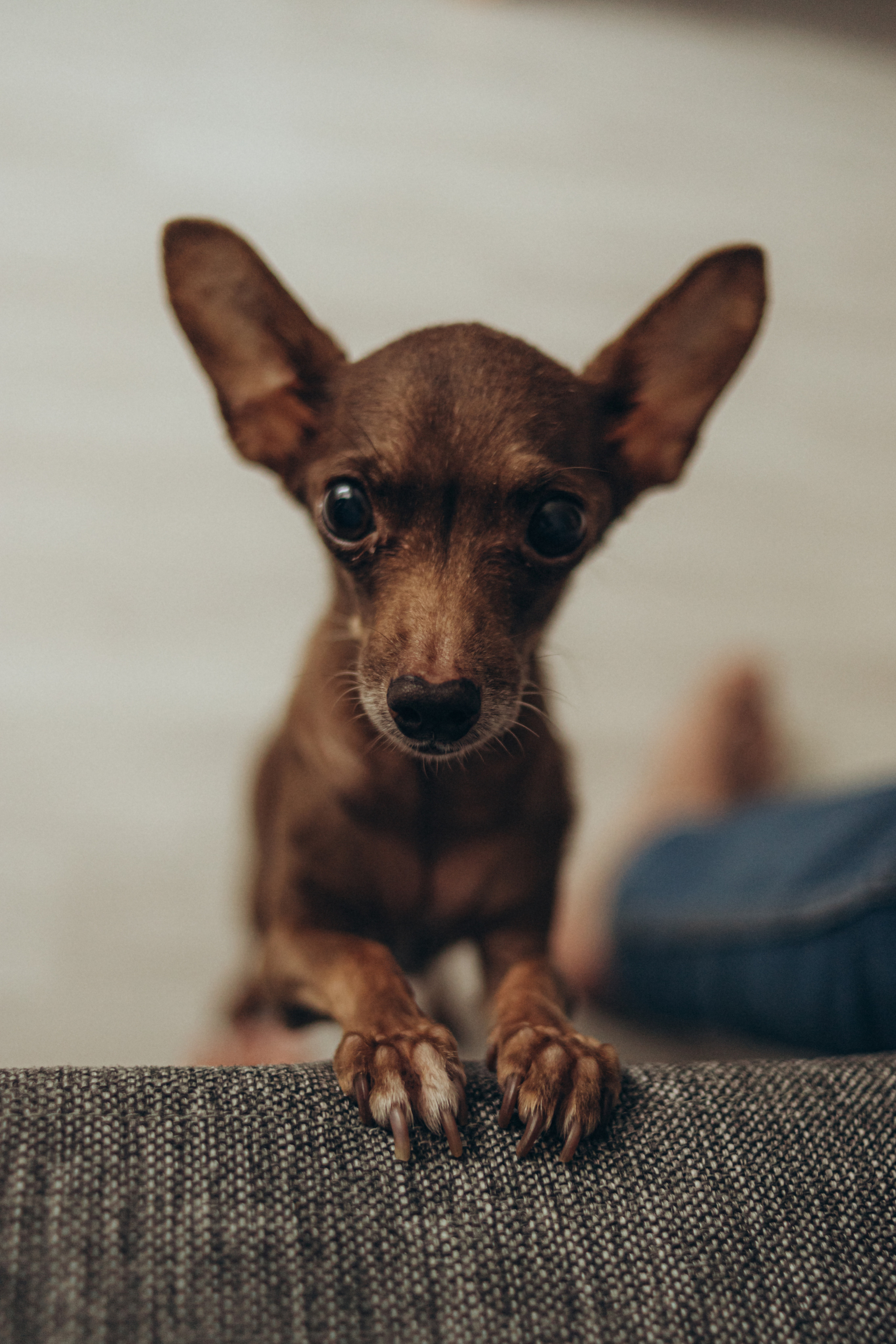 Алексей, Александра, Тарас. Семейный фотограф новорожденных УФА Гульнара Зиновьева