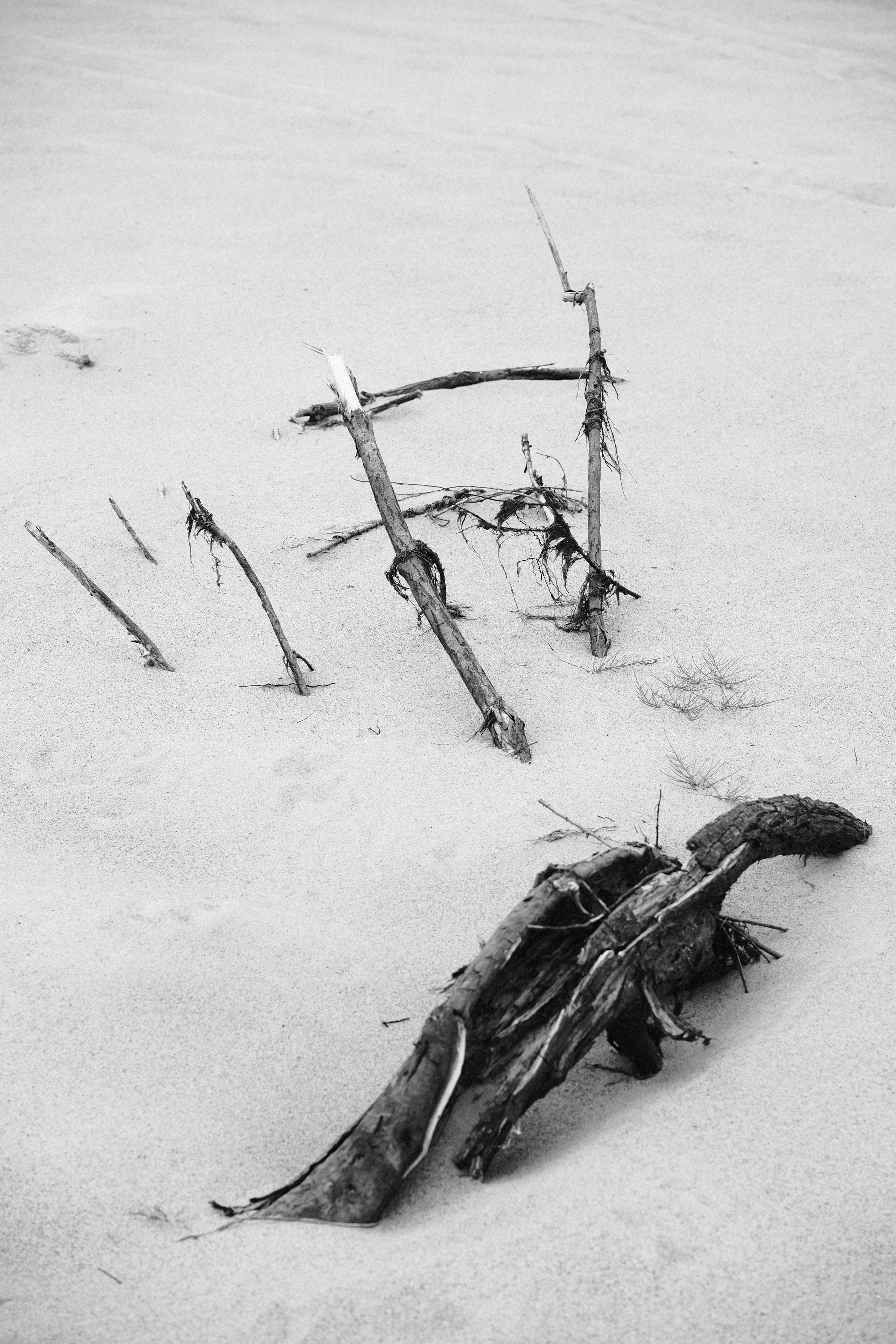 ЧБ. Фотограф-любитель из Кирова Андрей Погребняк