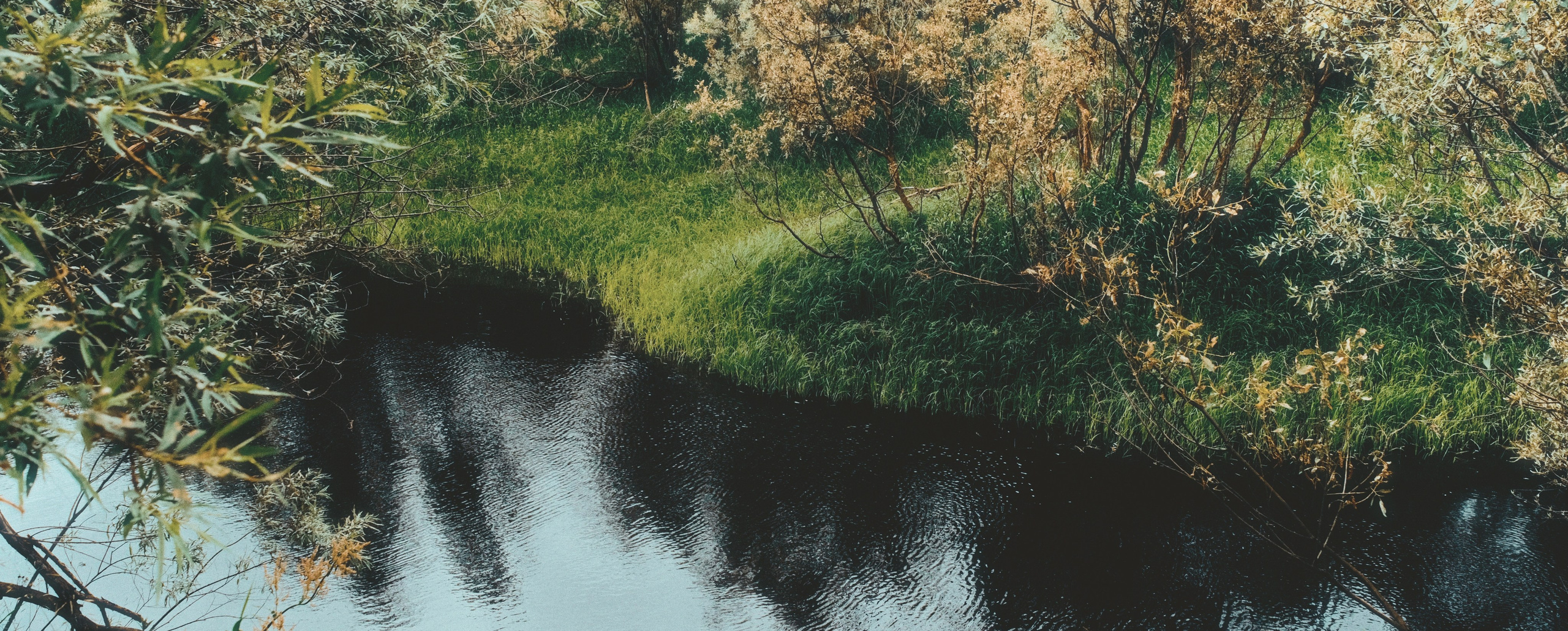 Стрит-фотография Сыктывкар. Фотограф-любитель из Кирова Андрей Погребняк