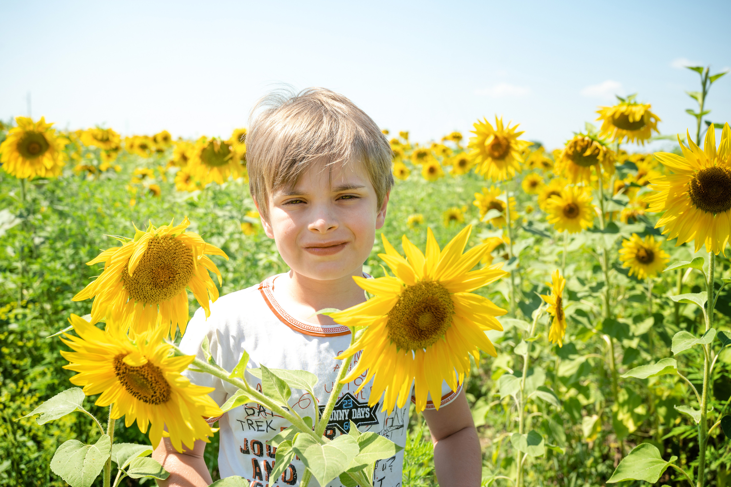 Подсолнухи, лето, счастья, фотопрогулки. Семейные фотосессии с фотографом Голубевой Натальей, Москва и подмосковье.