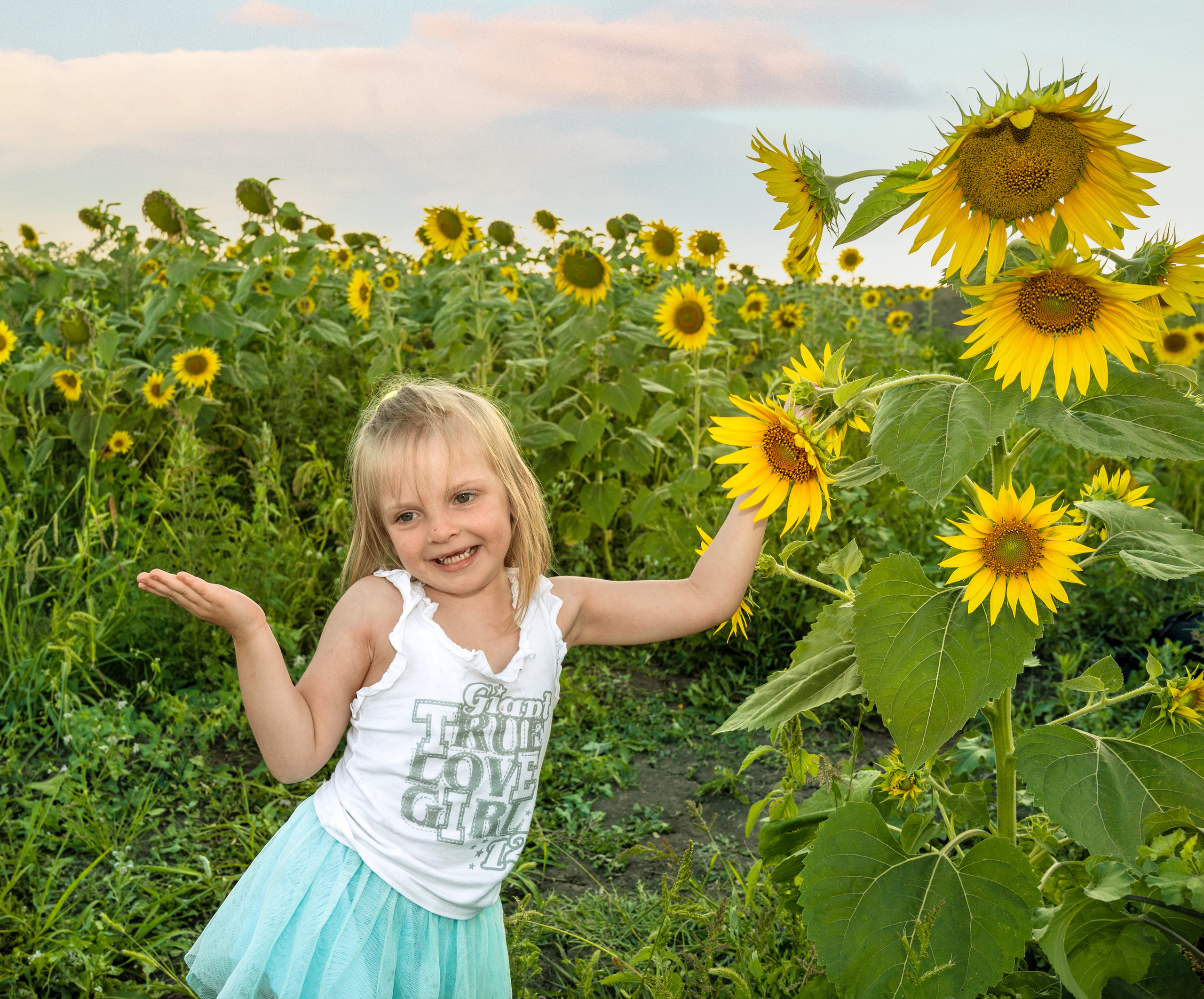 Подсолнухи, лето, счастья, фотопрогулки. Семейные фотосессии с фотографом Голубевой Натальей, Москва и подмосковье.