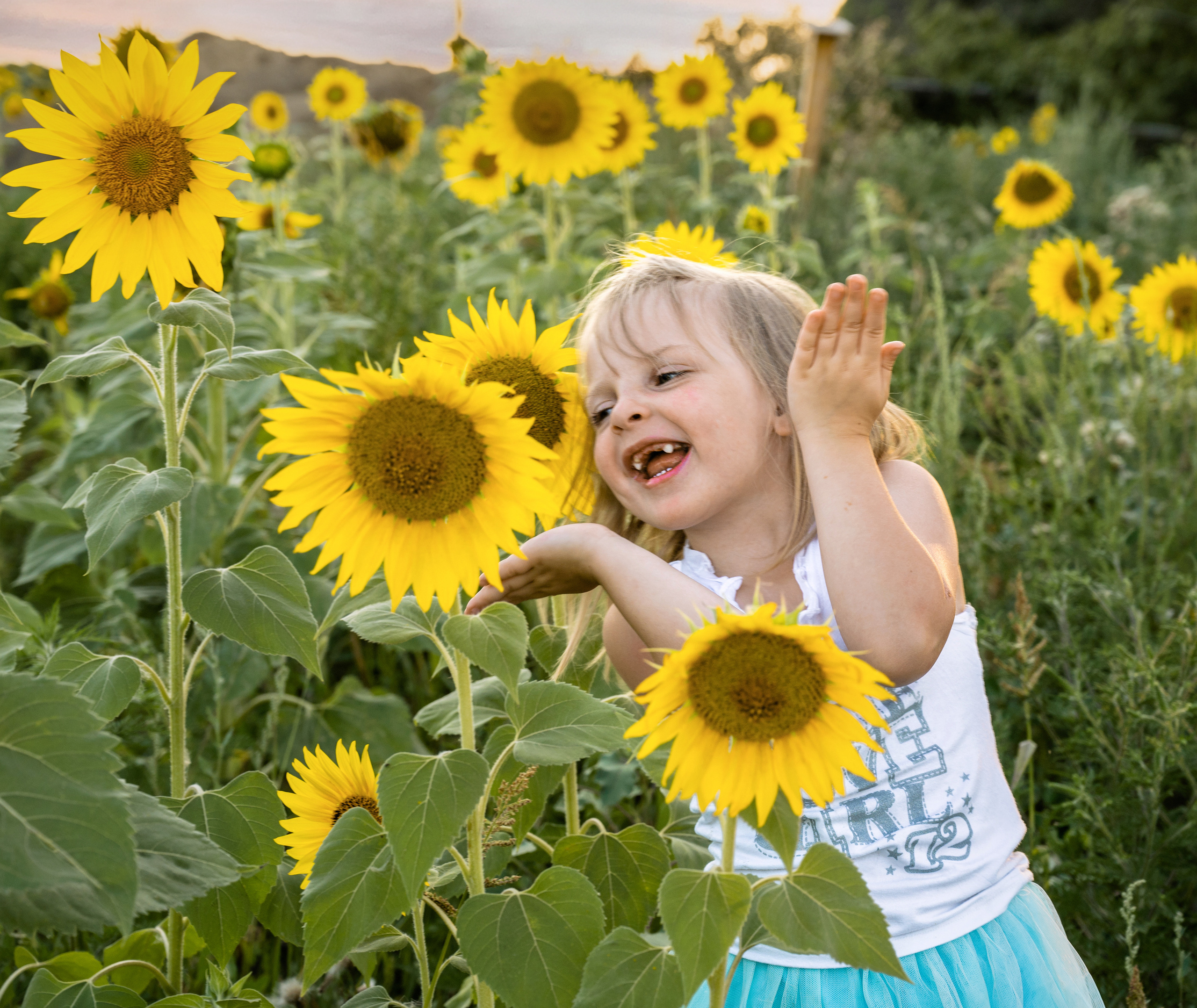 Подсолнухи, лето, счастья, фотопрогулки. Семейные фотосессии с фотографом Голубевой Натальей, Москва и подмосковье.