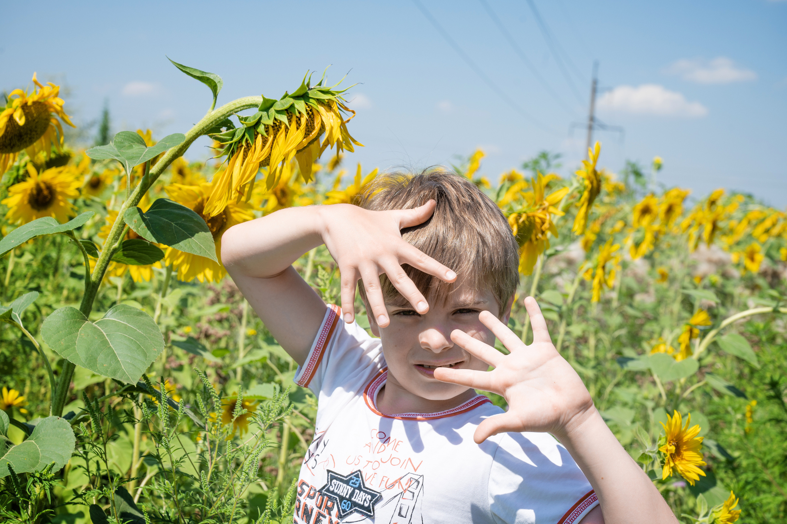 Подсолнухи, лето, счастья, фотопрогулки. Семейные фотосессии с фотографом Голубевой Натальей, Москва и подмосковье.