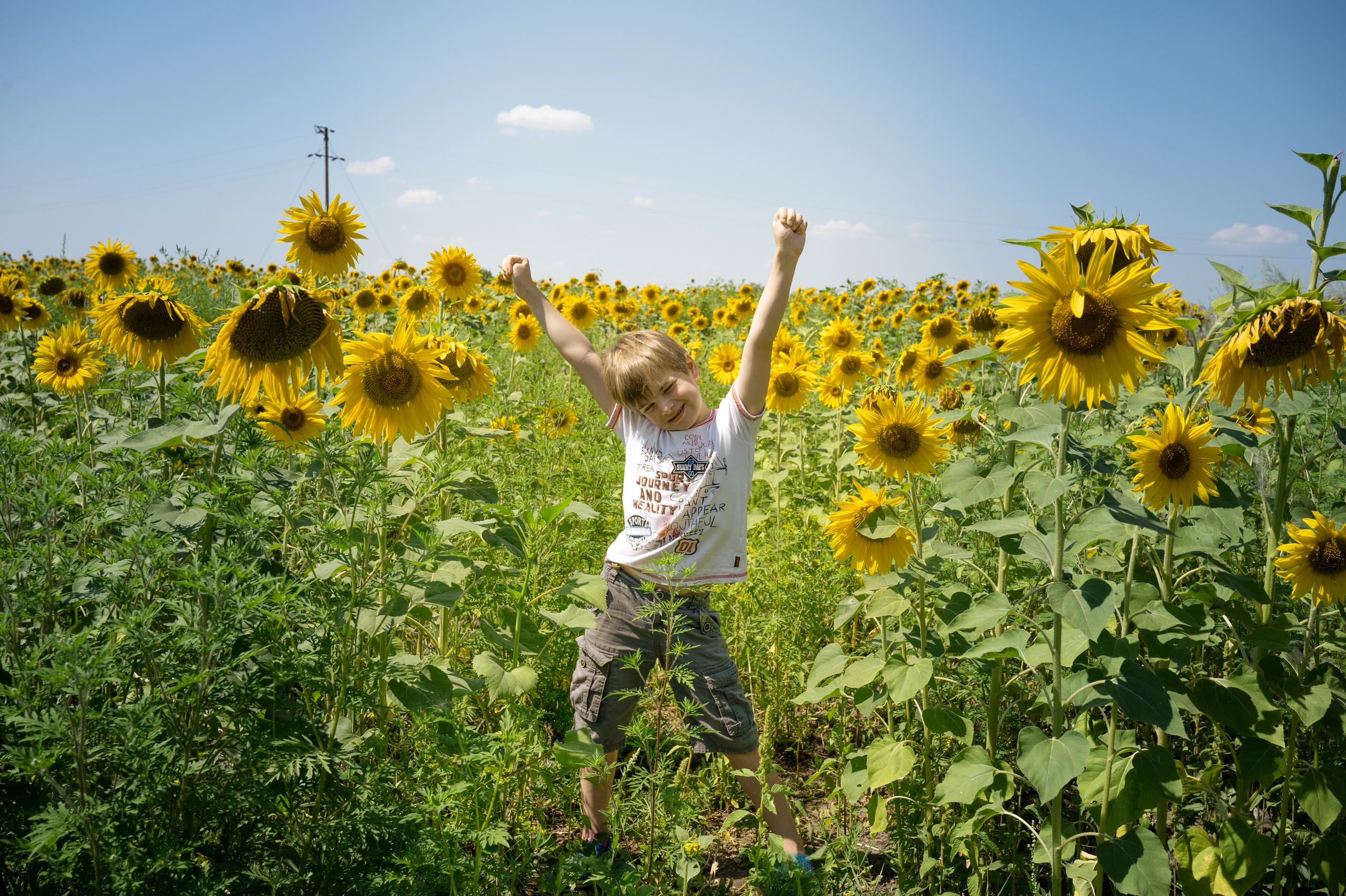 Подсолнухи, лето, счастья, фотопрогулки. Семейные фотосессии с фотографом Голубевой Натальей, Москва и подмосковье.