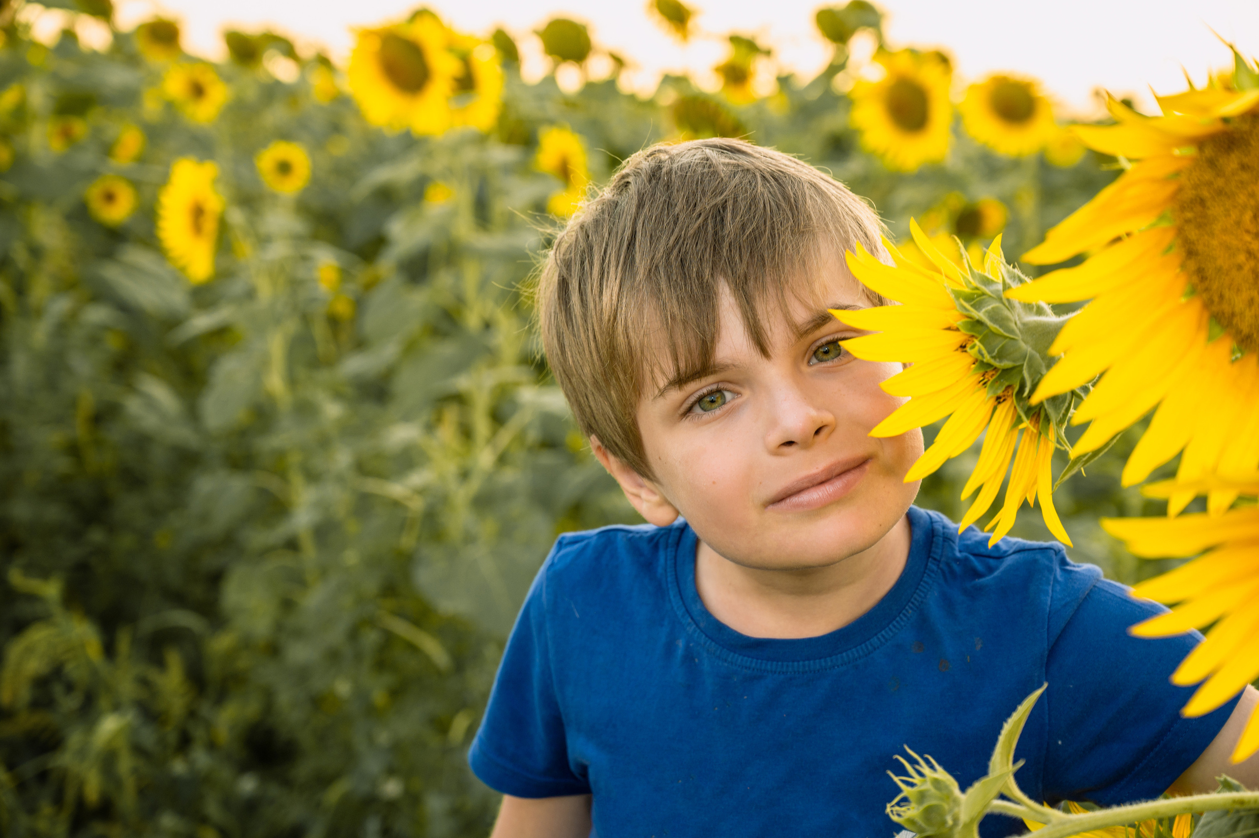 Подсолнухи, лето, счастья, фотопрогулки. Семейные фотосессии с фотографом Голубевой Натальей, Москва и подмосковье.