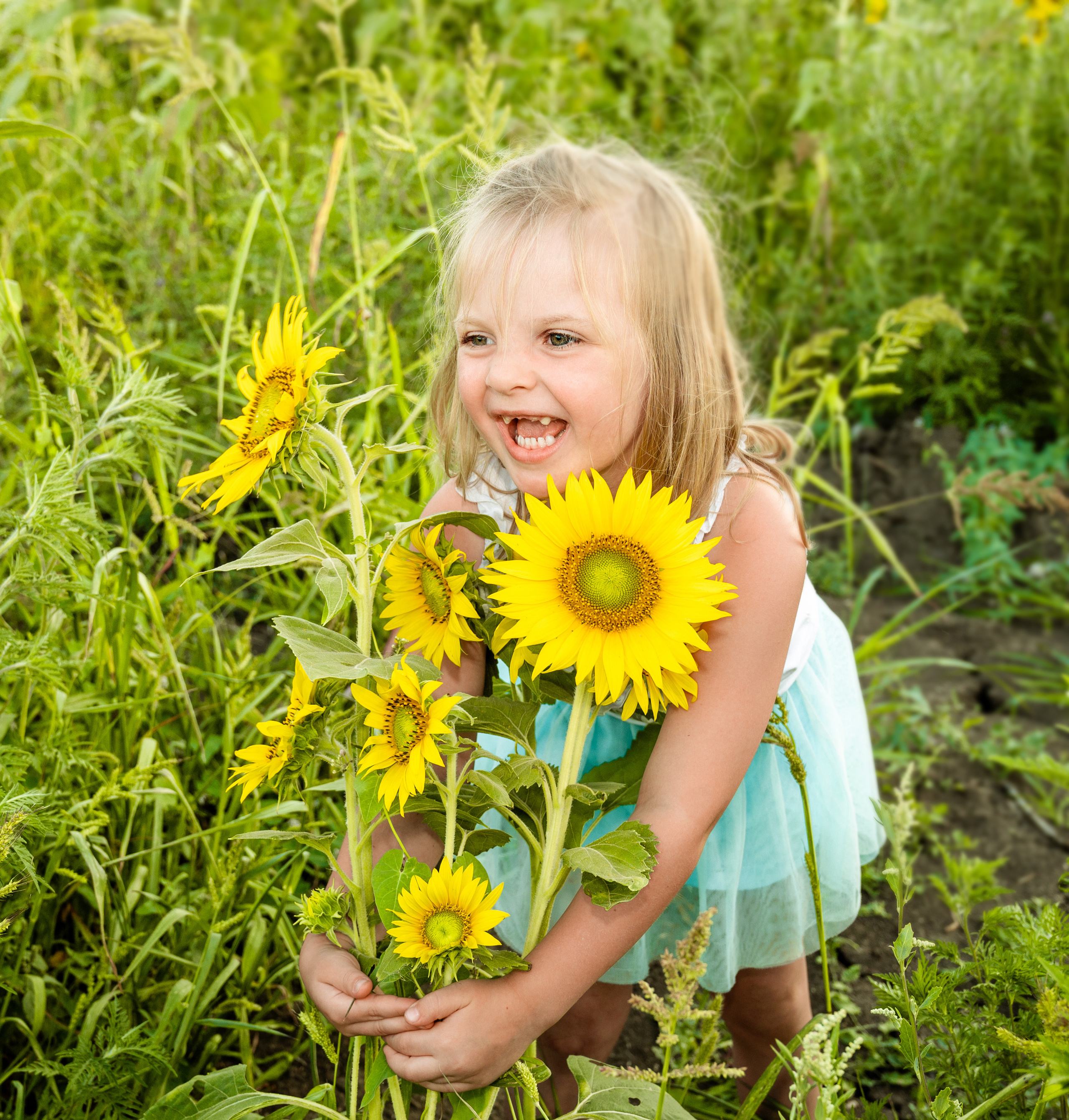 Подсолнухи, лето, счастья, фотопрогулки. Семейные фотосессии с фотографом Голубевой Натальей, Москва и подмосковье.