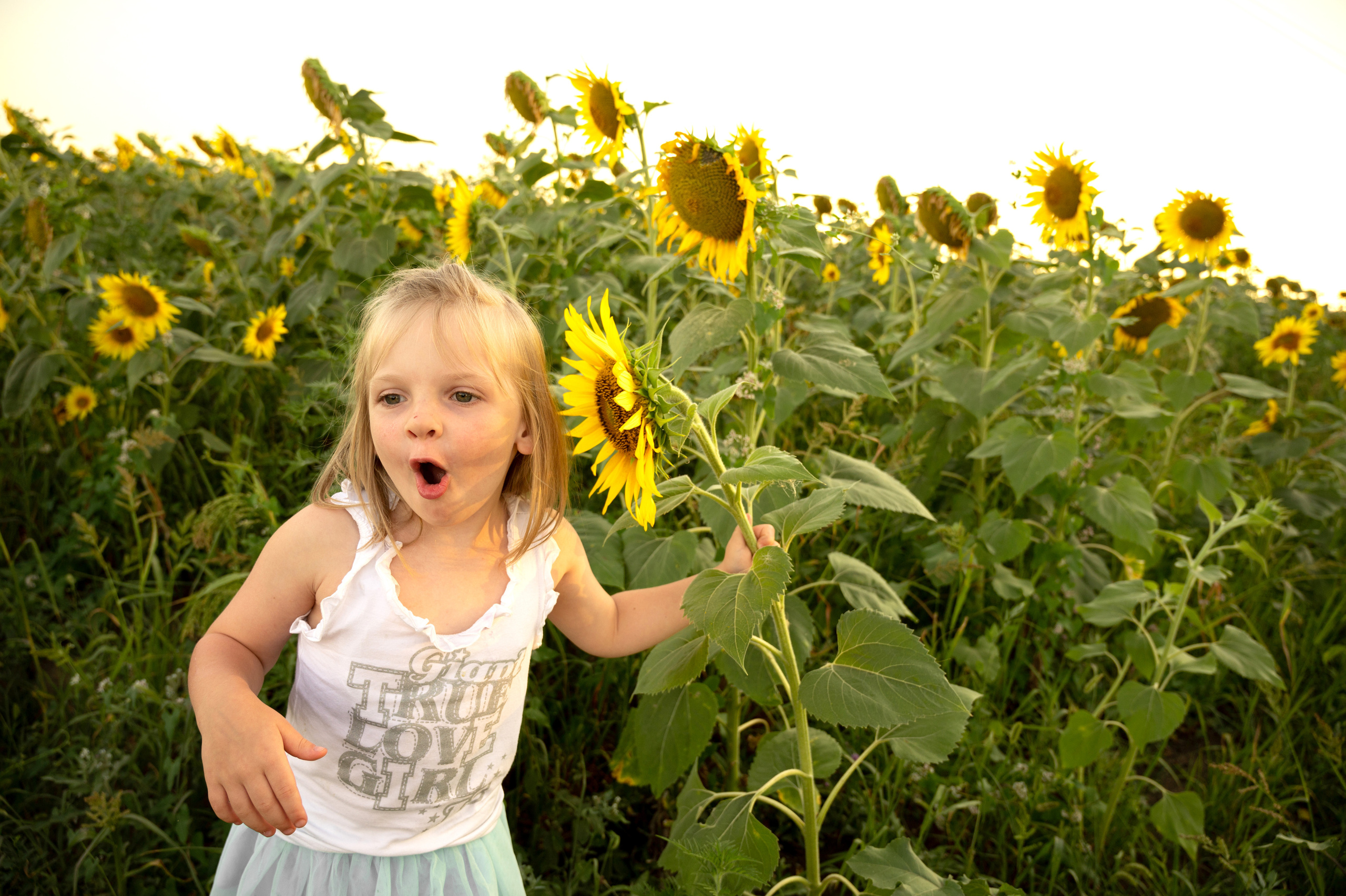 Подсолнухи, лето, счастья, фотопрогулки. Семейные фотосессии с фотографом Голубевой Натальей, Москва и подмосковье.