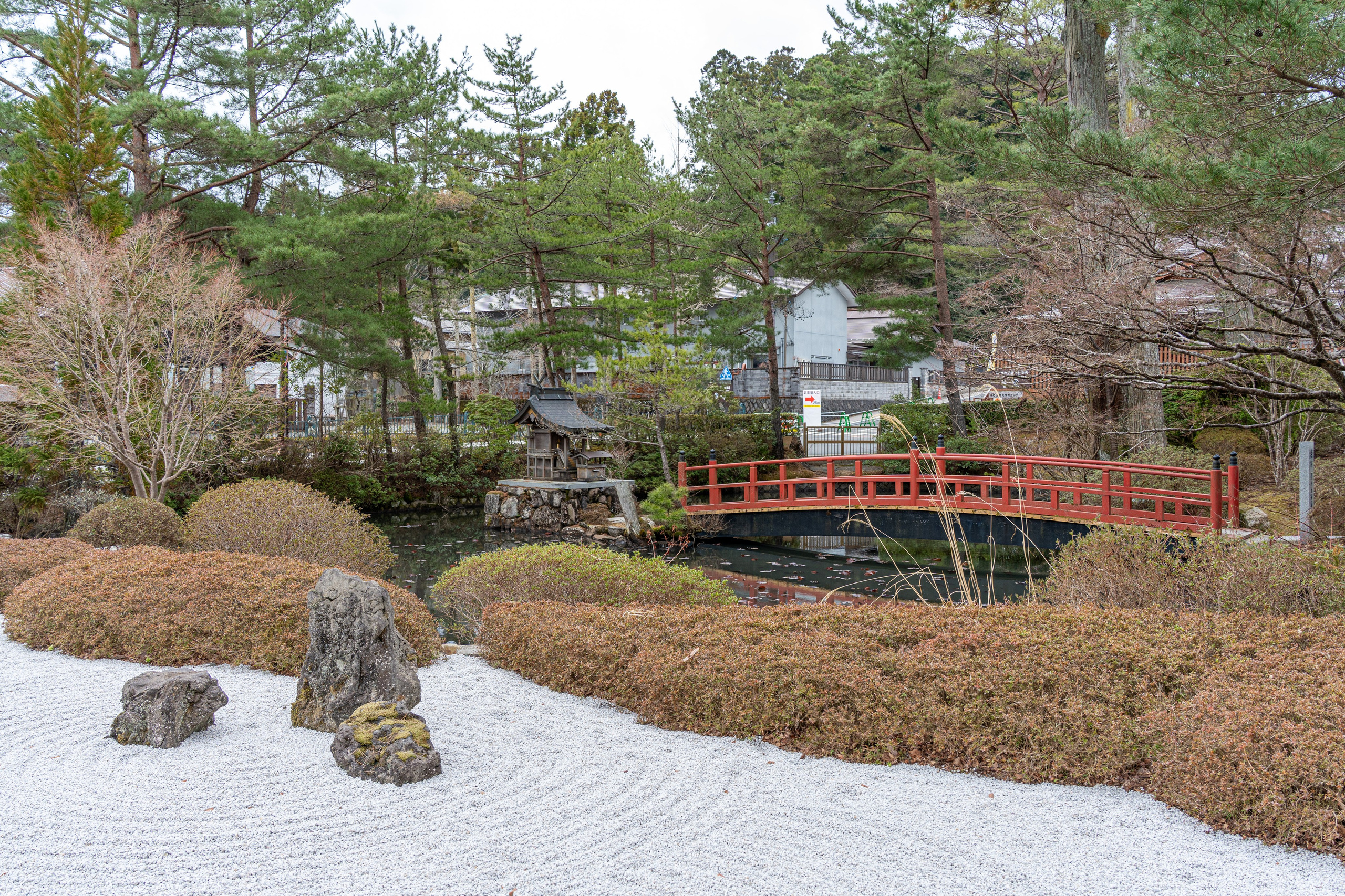 Япония, сакура. Творческие сьемки