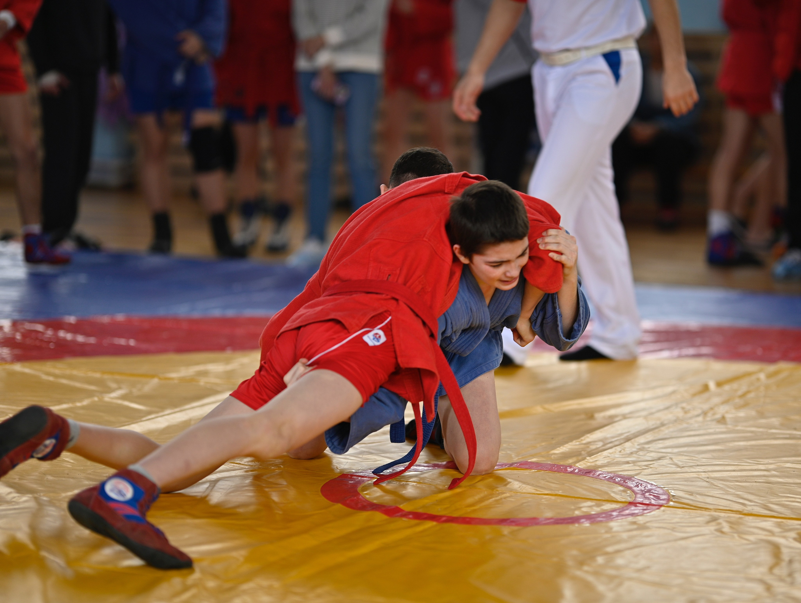 Самбо. Фотограф Ваших событий 📸