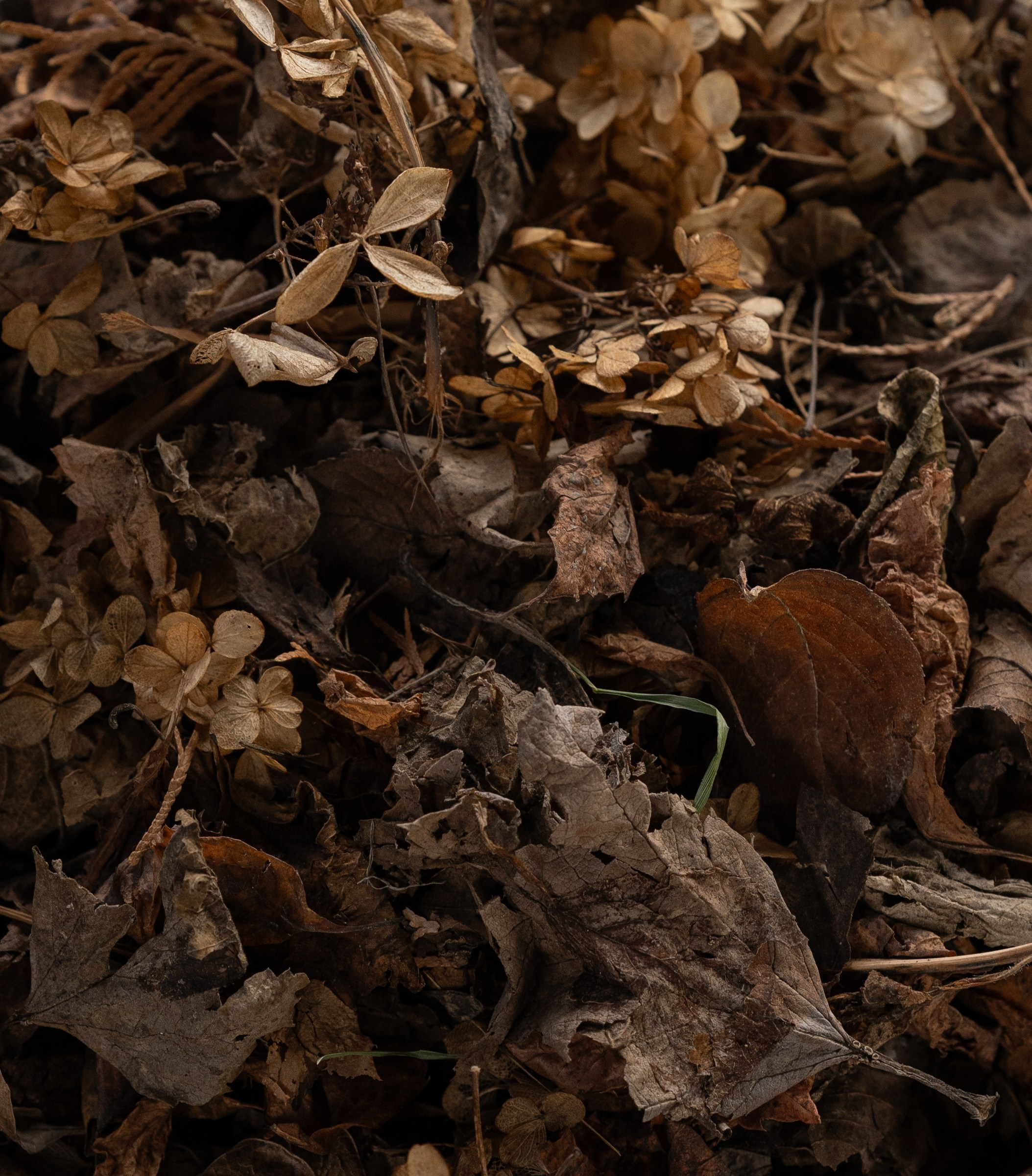 Для души. Фотосессия портрет, ню, будуар, стрит фотограф Москва Юлия Кафизова