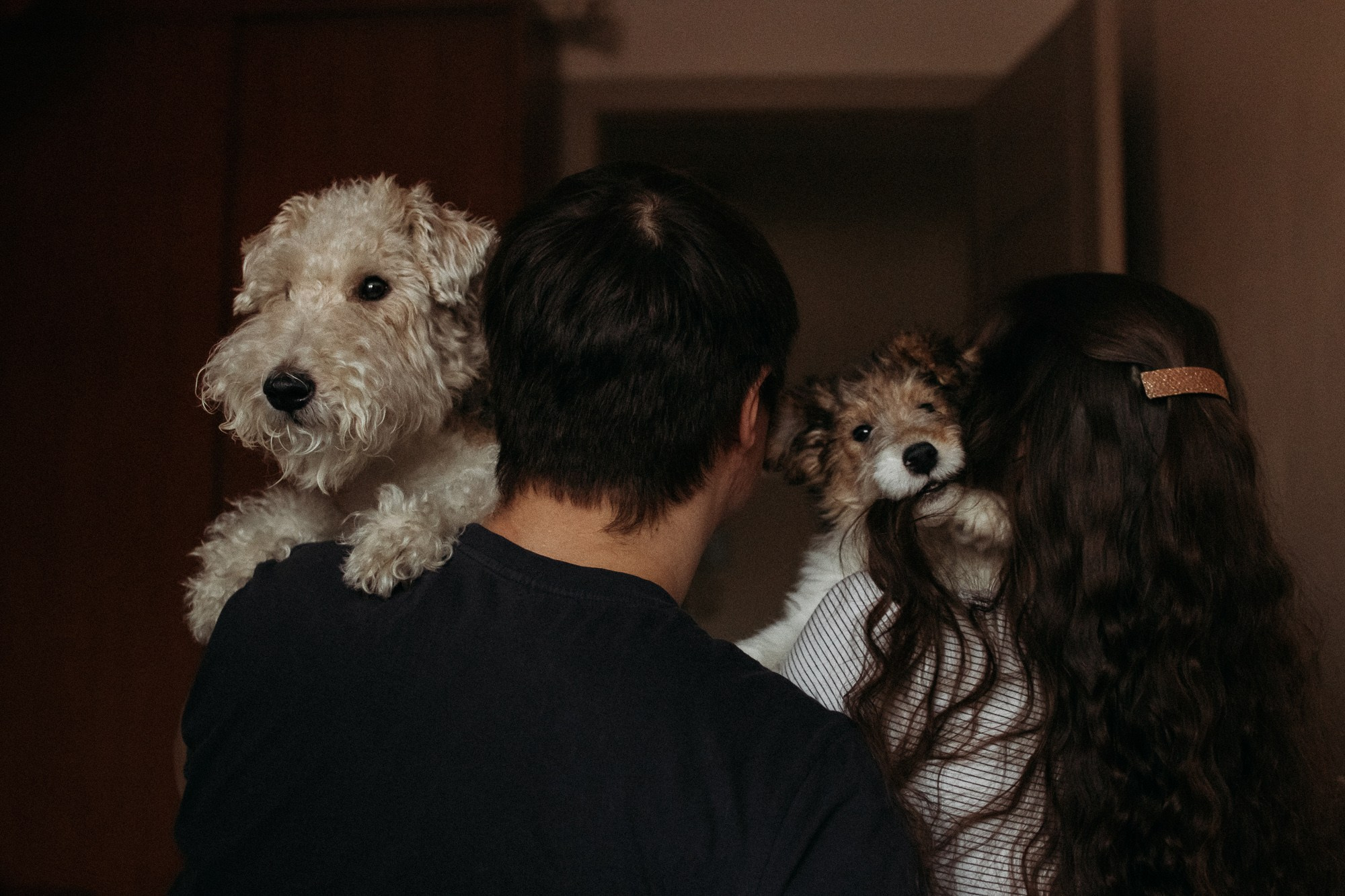 Ребята и фоксы. Фотограф Наталья Потапова