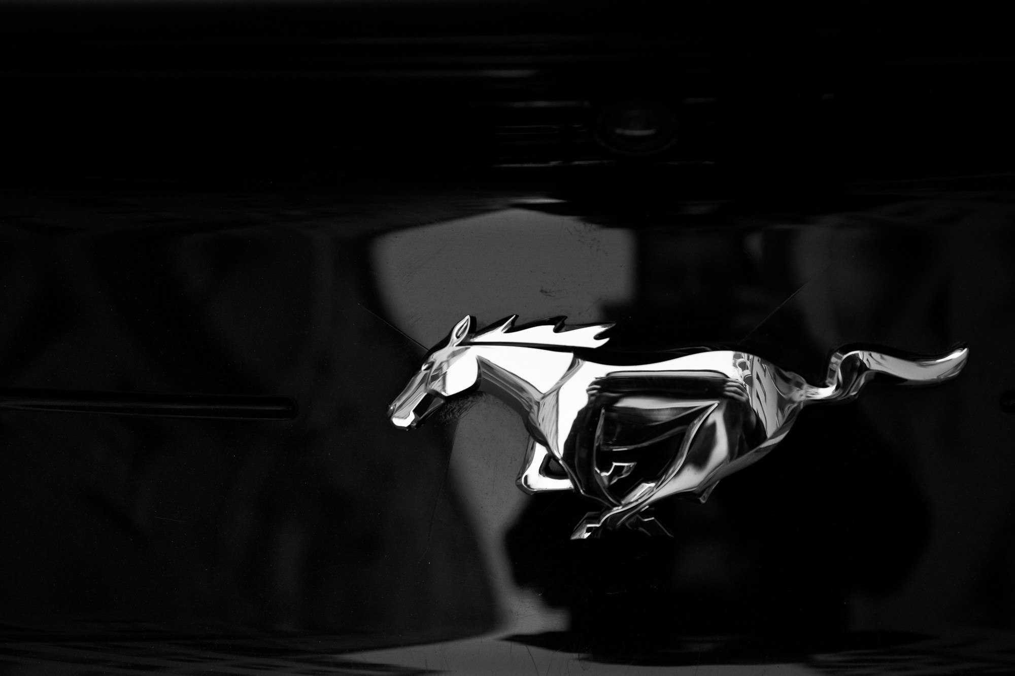 Mustang. Свадебный и женский фотограф Москва Видное