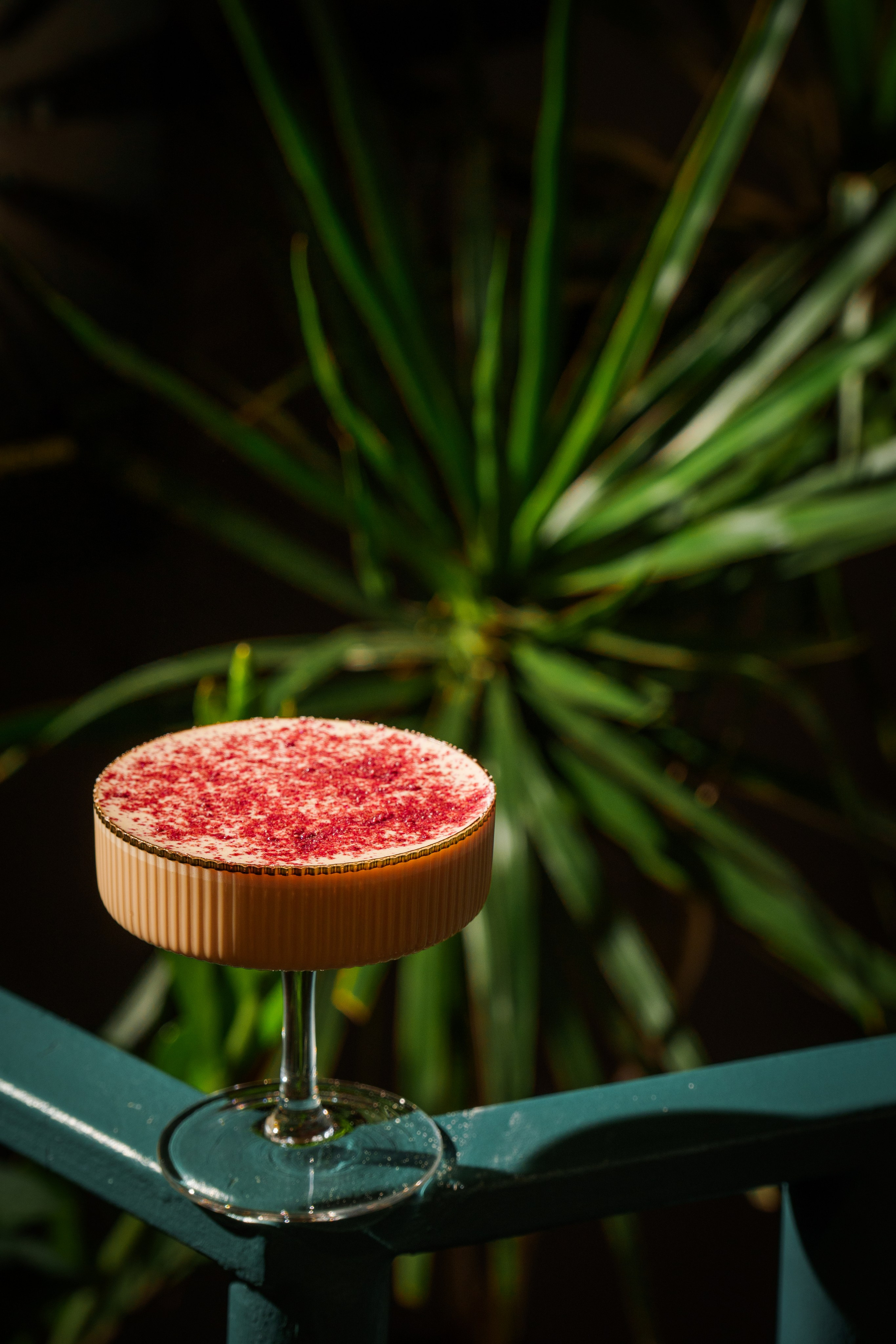 FOOD СЪЁМКА. Gdefotki